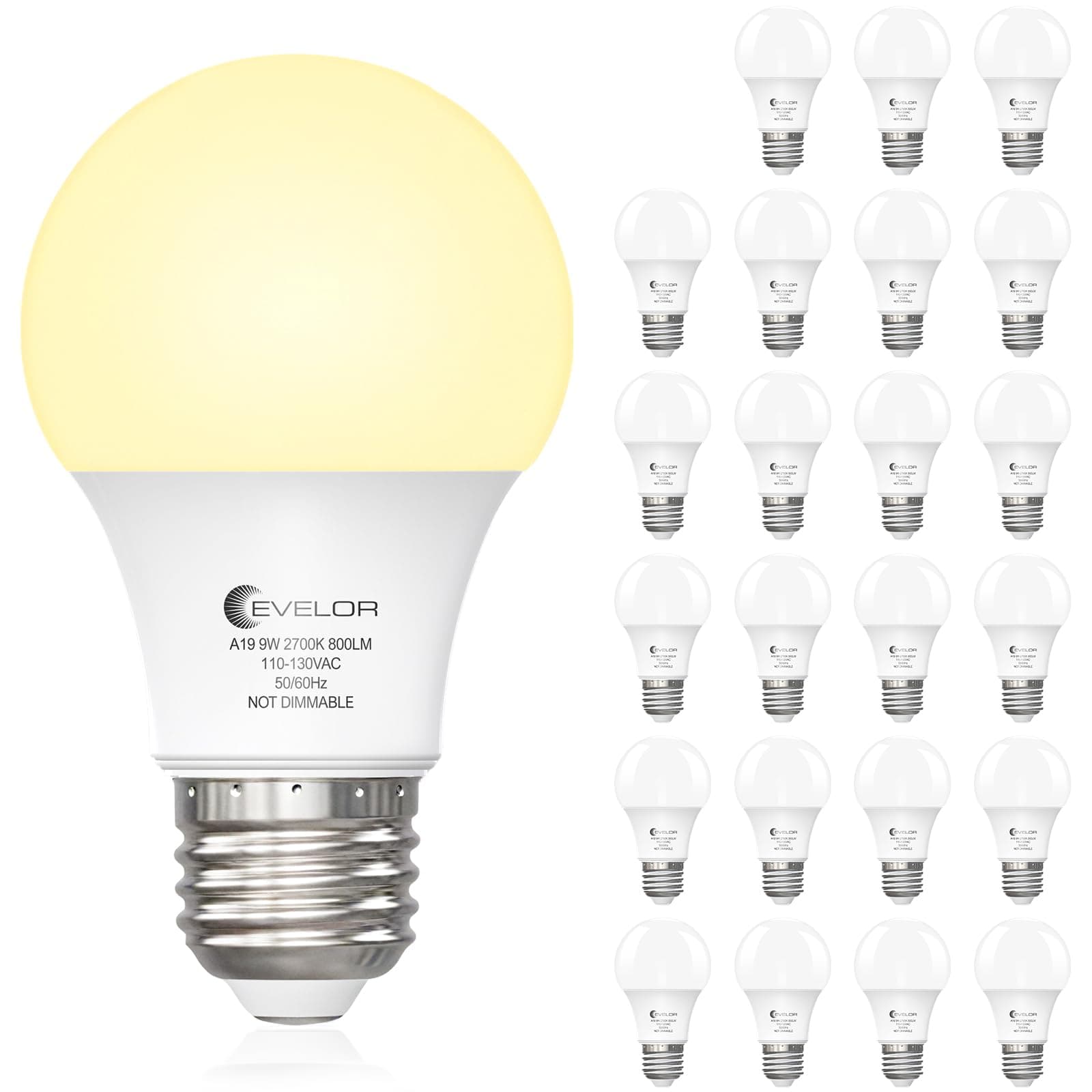 Evelor 24-Packs A19 LED Light Bulbs, E26 Base, Soft White 2700K 9W High Efficiency (60W Equivalent), 800 Lumens Non-Dimmable, 15000 Hours Lifespan, Fits Bedroom & Living Room