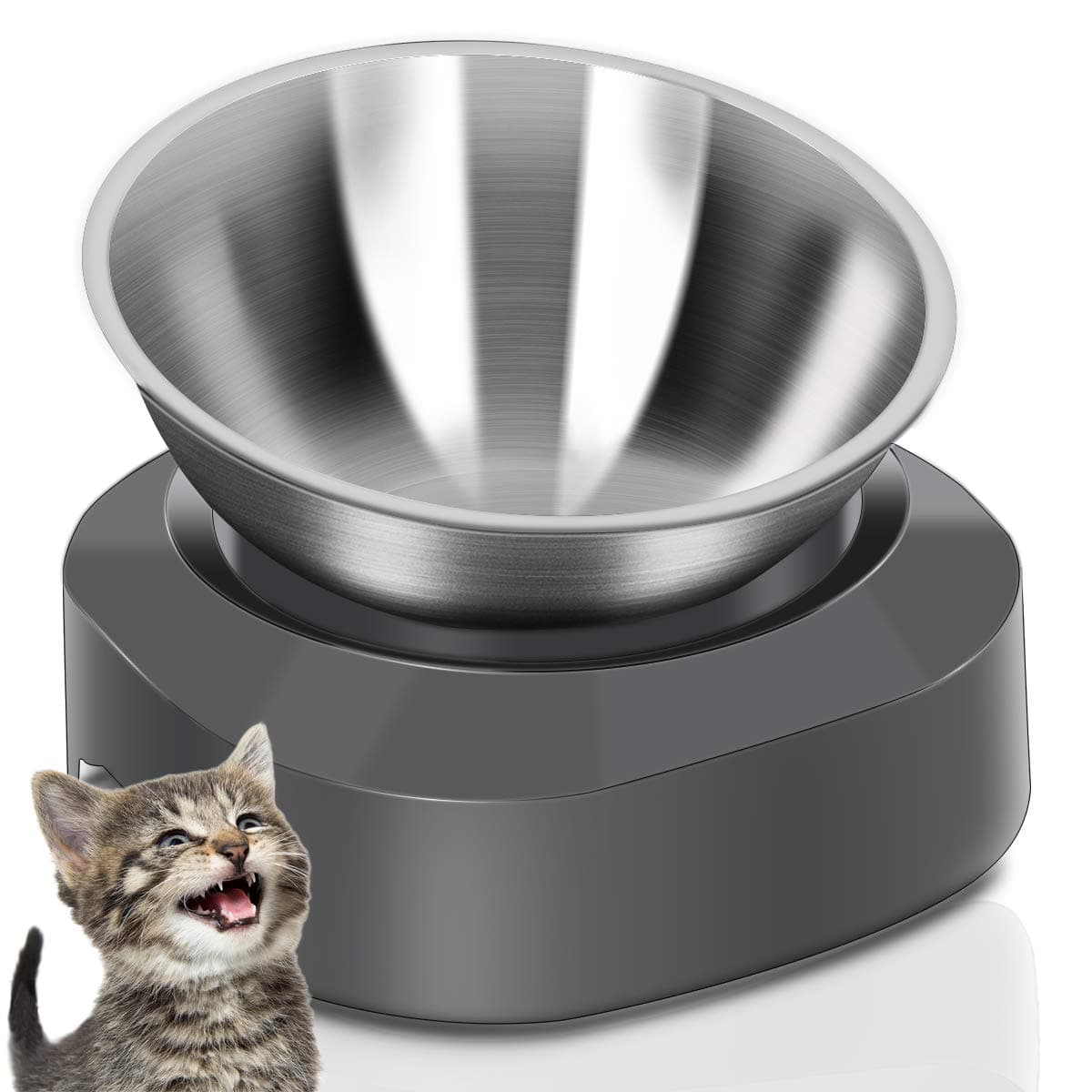AYADA Elevated Cat Bowl Stainless Steel with Stand, 15° Tilted, Single