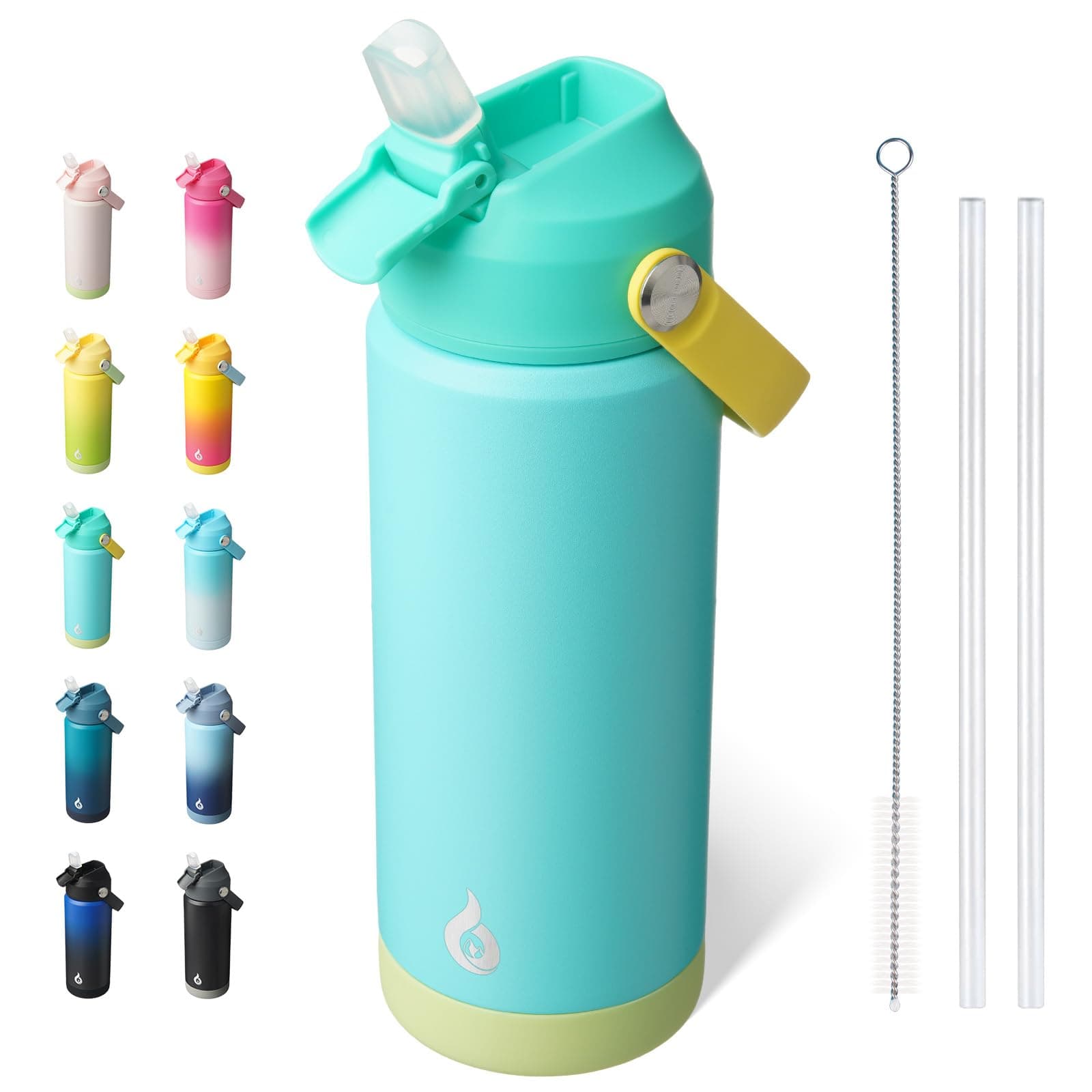 BJPKPK 18oz Insulated Water Bottle, Stainless Steel Bottle with Straw Lid