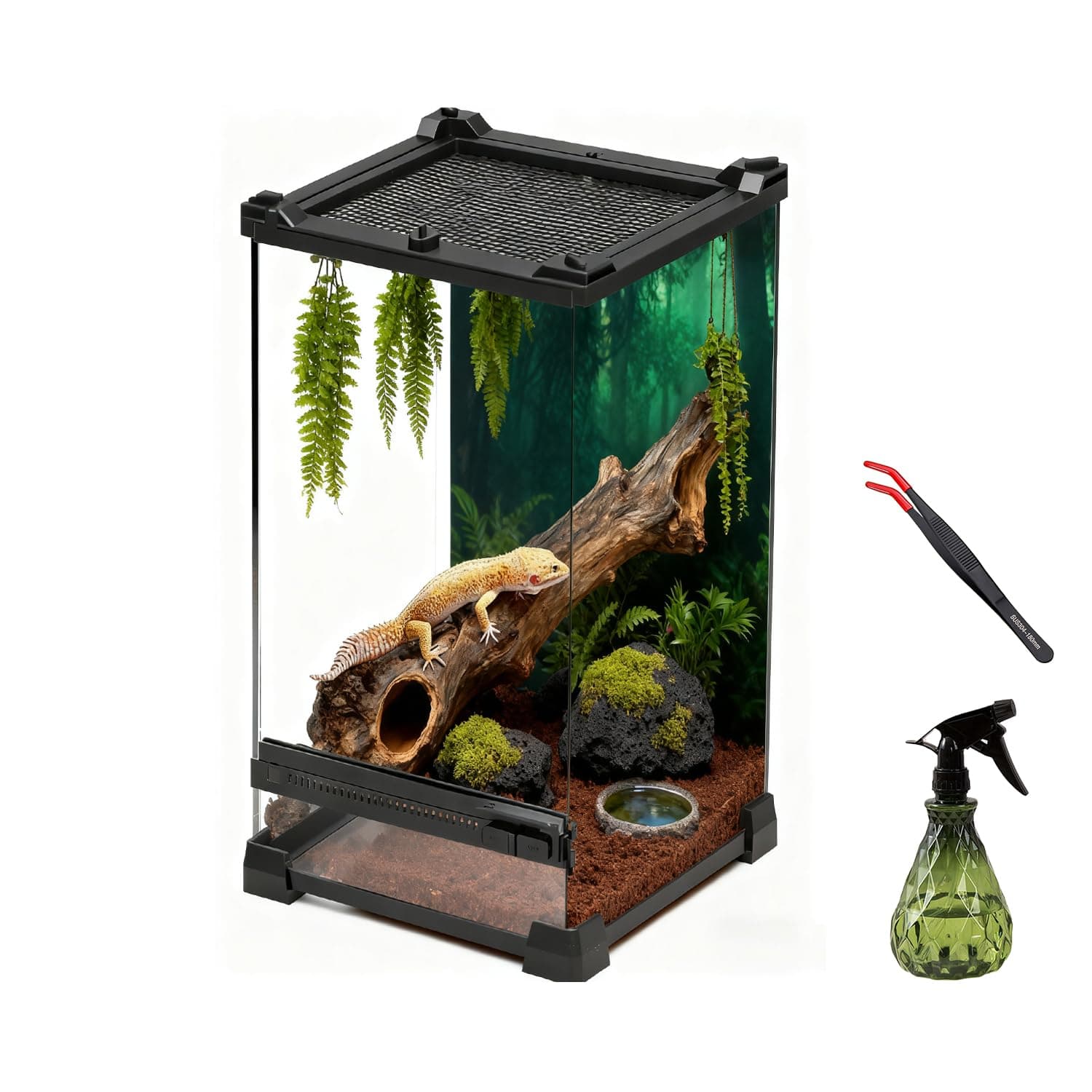 AQUA DAREN Reptile Tall Glass Terrarium Rainforest Habitat Single Door with Screen Ventilation,Small Reptile Terrarium for Spiders, Tarantulas, Snail, Mantis, Lizard (10 * 10 * 13.8 inch)