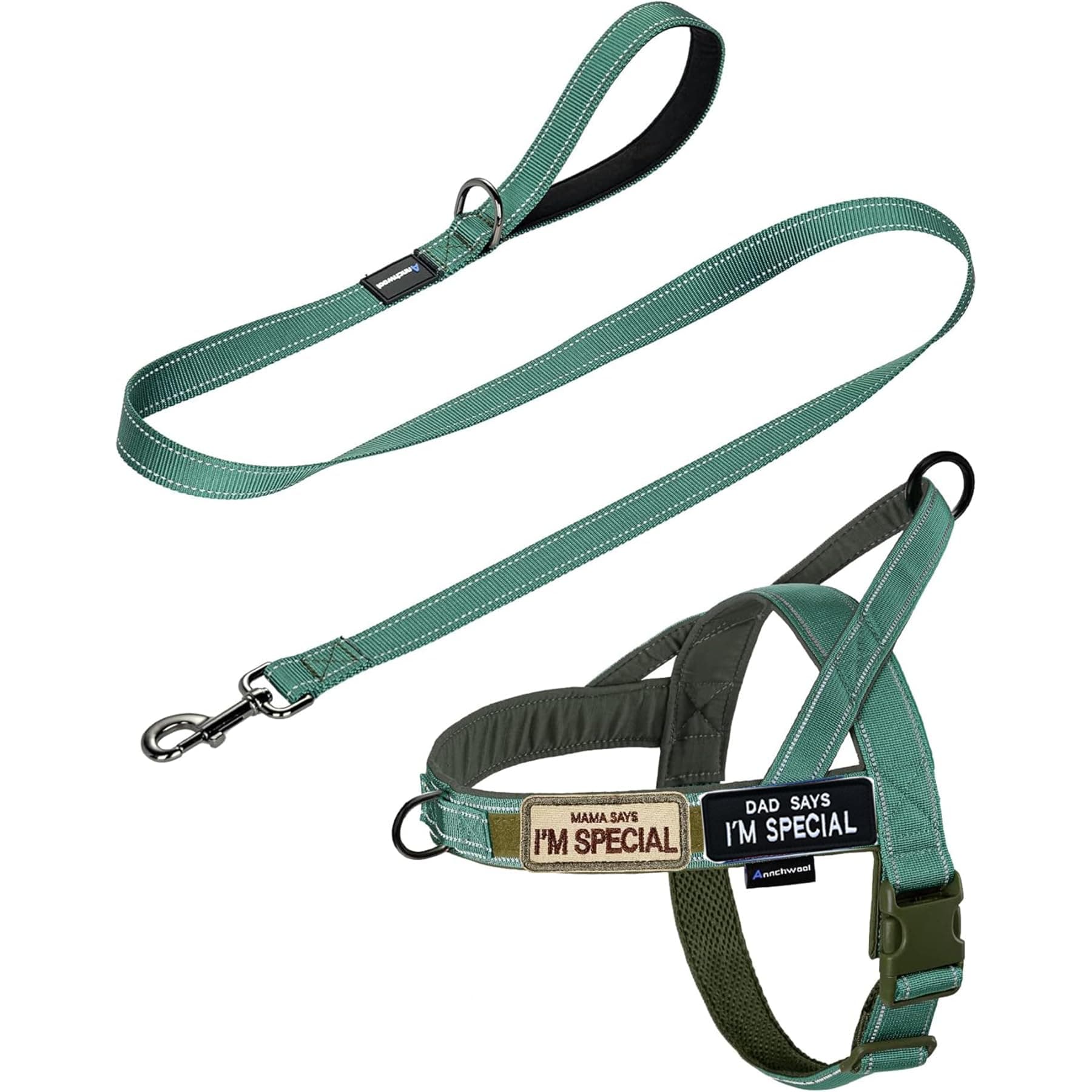 Annchwool No Pull Dog Harness with Soft Padded Handle+Leash,Reflective Strip Escape Proof and Quick Fit to Adjust Dog Harness,Easy for Training Walking for Small & Medium and Large Dog(Green-Set,S)
