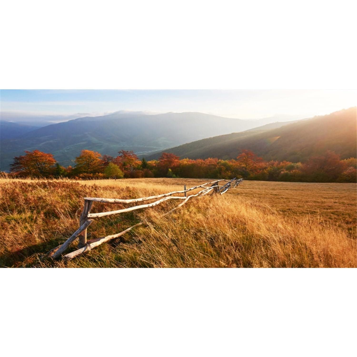 AWERT 72x16 inches Reptile Habitat Background Mountains Blue Sky White Clouds Grasslands Fallen Leaves Climbing Pets Background Decoration Supplies Nature Art Terrarium Background