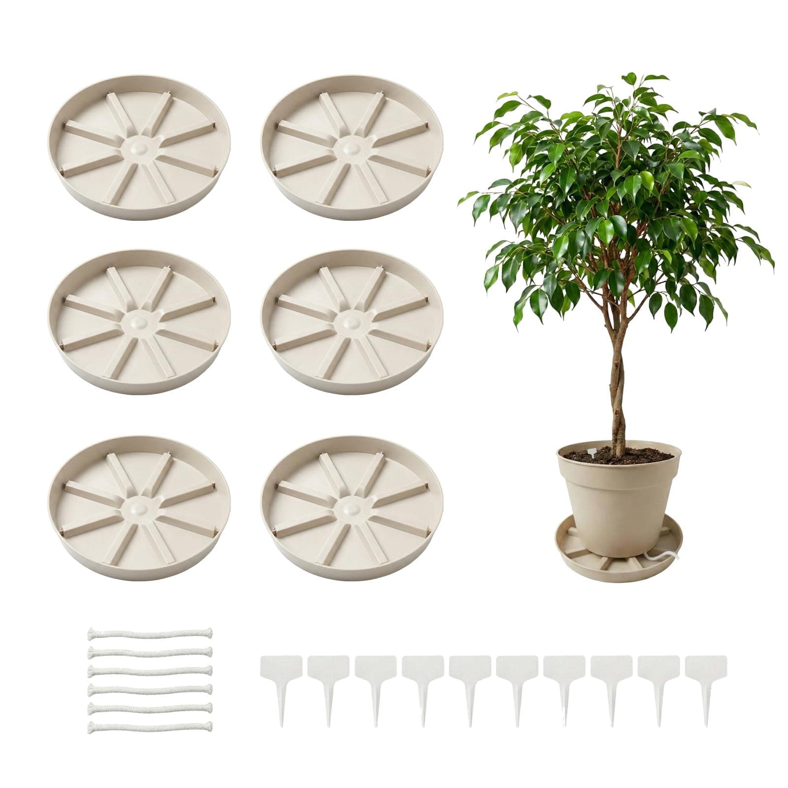 Lunarixel Plant Saucers 6 Pack - 10 Inch Heavy-Duty Plastic Plant Trays, Raised Ridge Design Plant Drainage Saucers for Indoors & Outdoor Use, Leak-Proof Flower Pot Trays to Protect Floors (10 in)