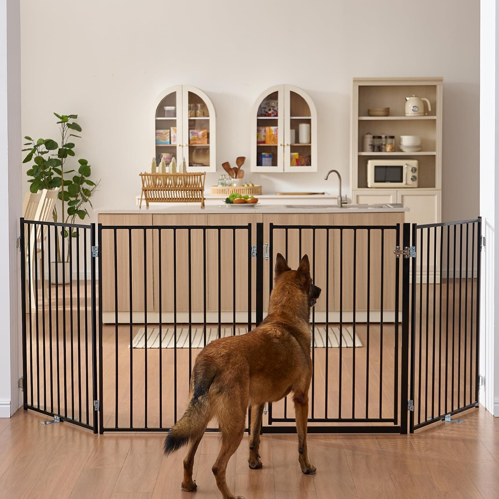 No Pawblems Freestanding Dog Gate with Door for Indoor & Outdoor, 36'' Tall