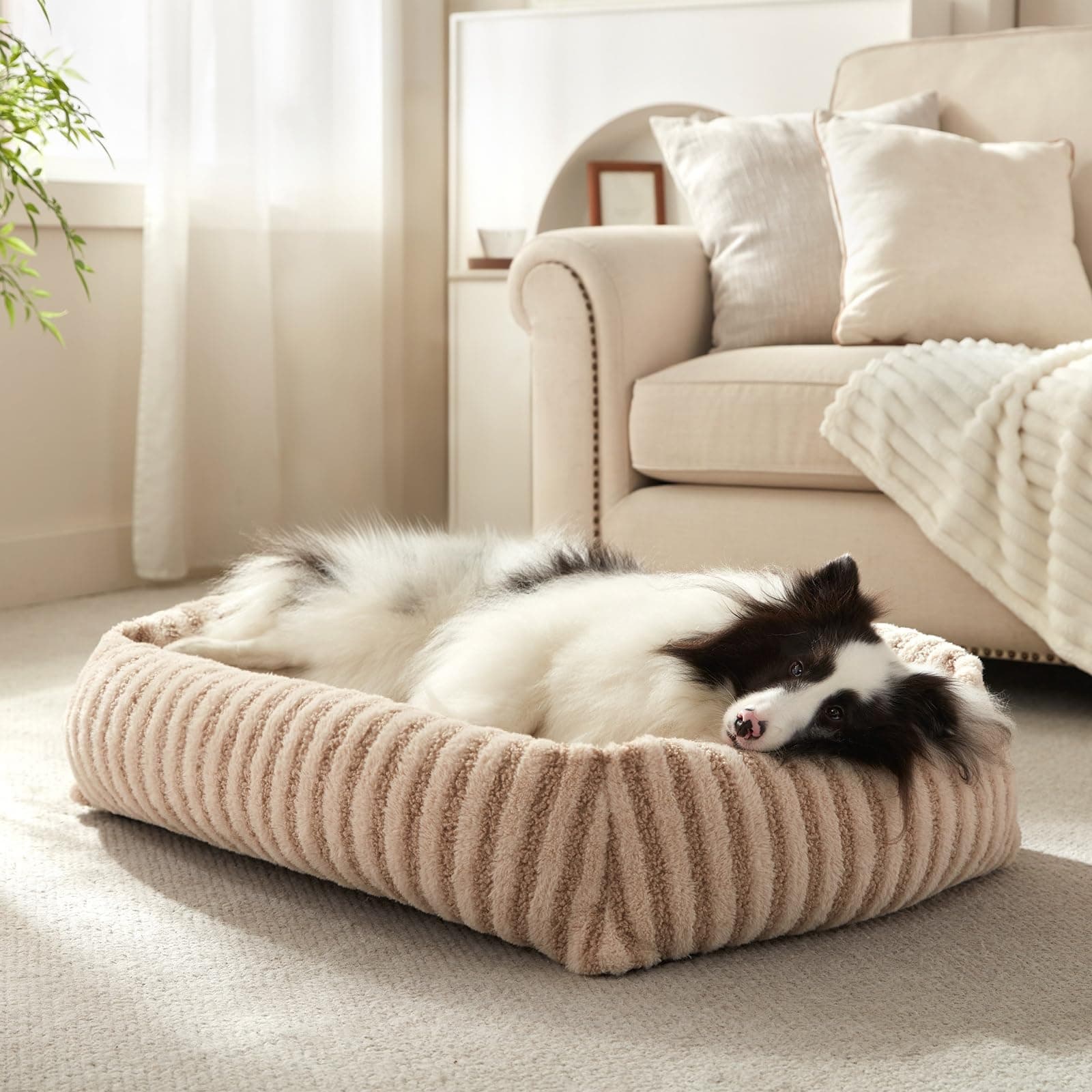 MIXJOY Dog Bed Medium Sized Dogs, Calming Dog Beds, Washable Pet Beds with Removable Cover, Rectangle Non-Slip Bottom Pet Bed, Suitable for Pets Up to 40lbs, 30"x24"x8", Beige