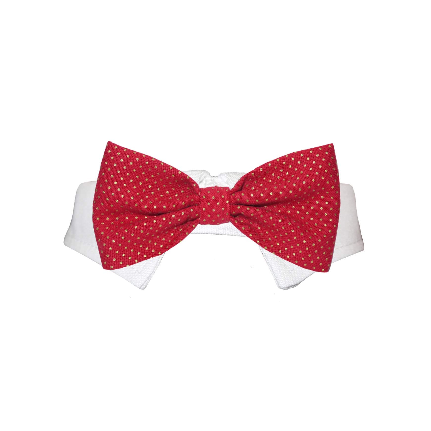Pooch Outfitters Dog Tie and Bow Tie Collection | Extensive Selection for Any Style, Mood, Occasion, and Holiday | Small, Medium, Large Dogs