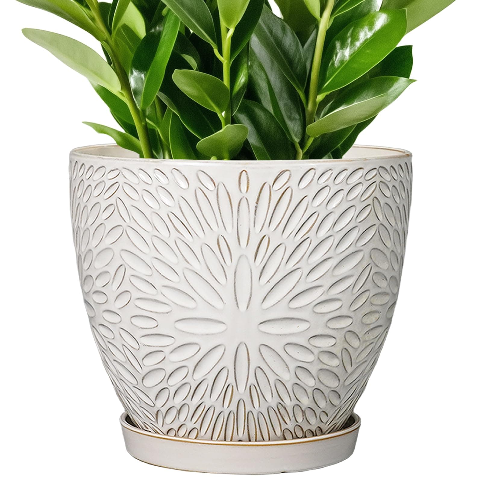 G EPGardening 10 Inch Ceramic Planter Pot with Drainage Hole and Saucer Large Plant Pot for Indoor Plants Outdoor Round Flower Pot for Home Garden Office White