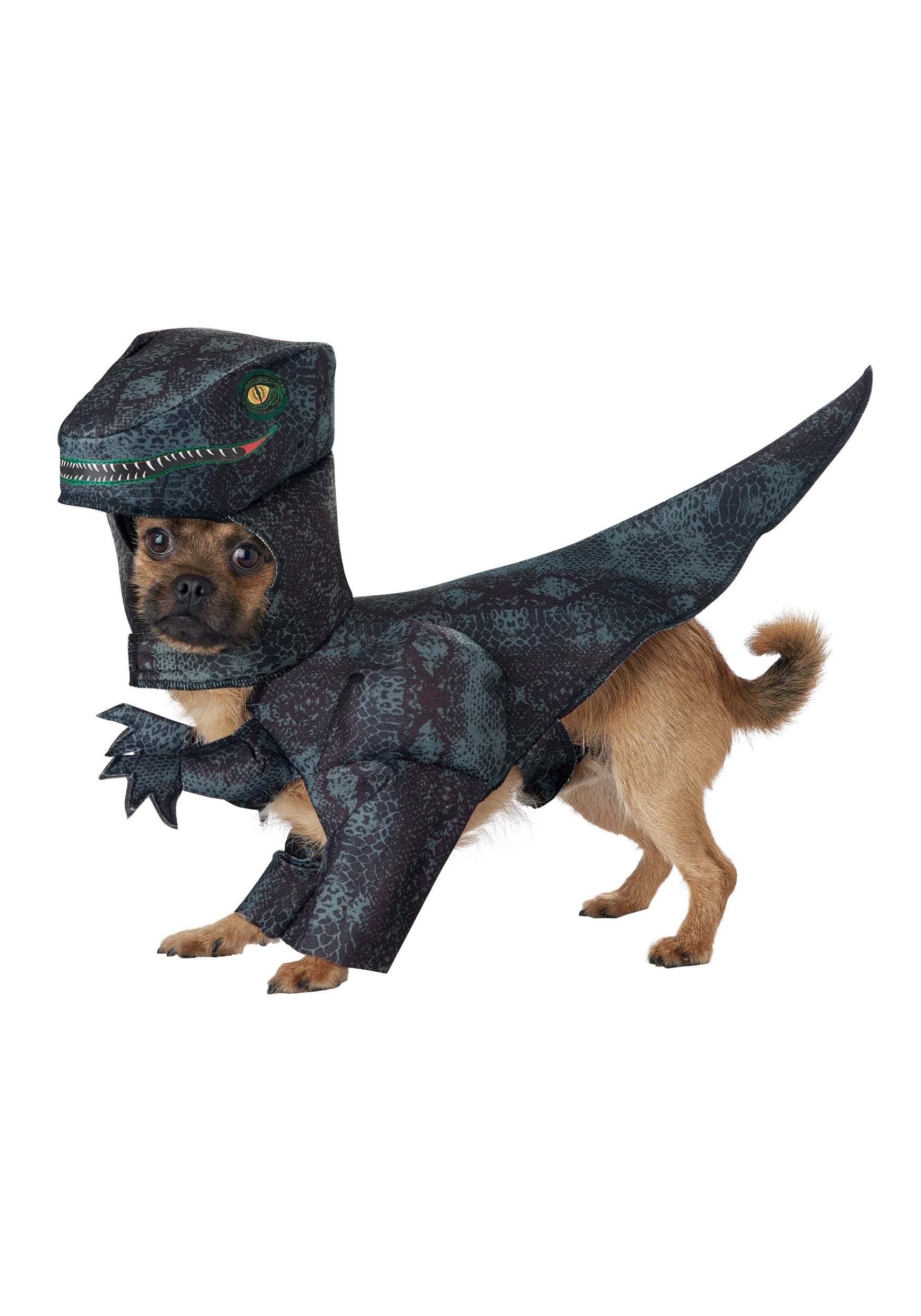 California Costumes, Pupasaurus Rex Dog Costumes Medium