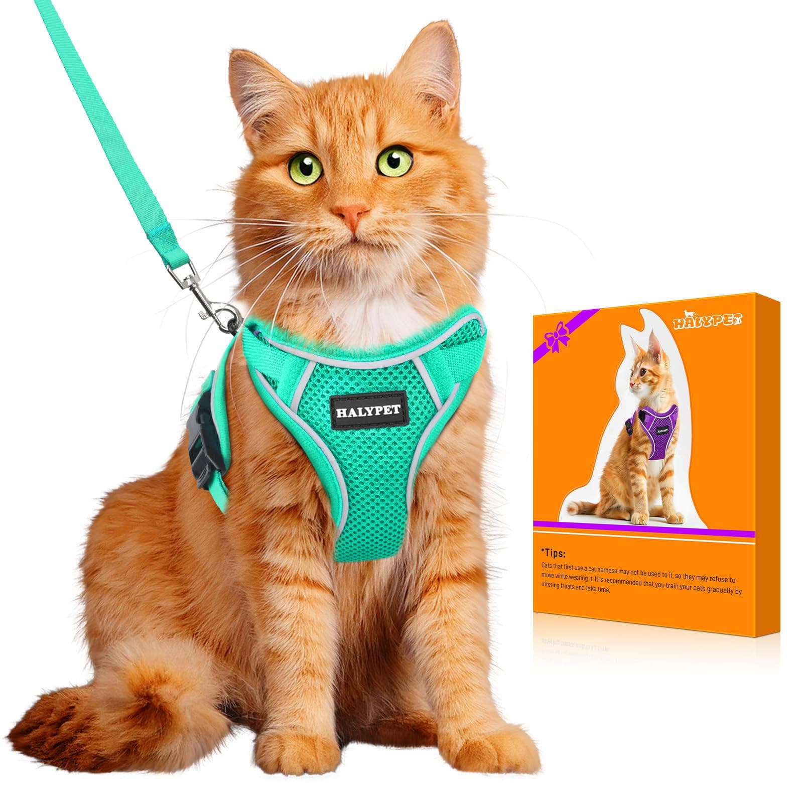 Cat Harness and Leash Set,Escape Proof Kitten Harness Green