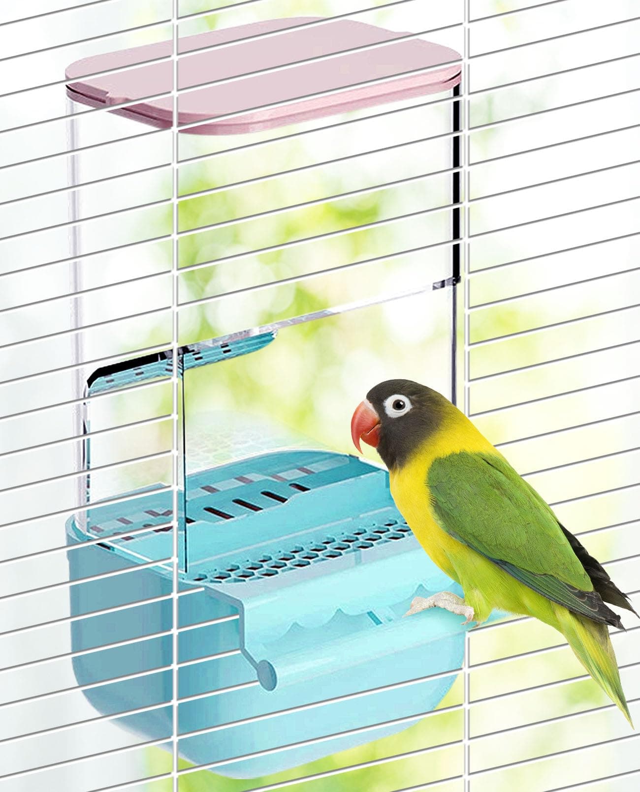 BNOSDM Automatic Bird Feeder No Mess Bird Cage Feeders Parrot Cage Accessories Transparent Seed Food Container with Perch for Finches, Parakeets, Budgies, Lovebirds, Cockatoos, Canaries (Blue)