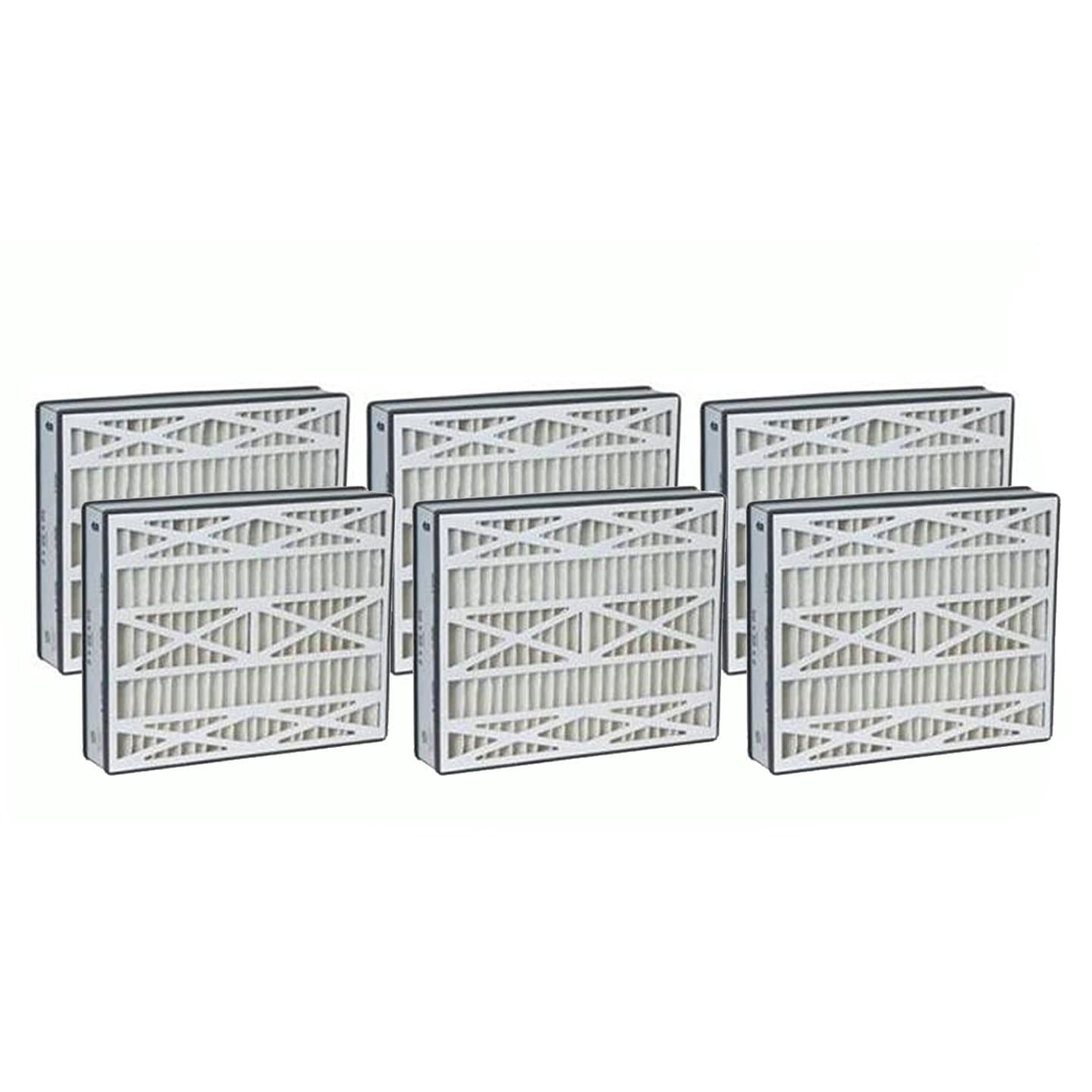 Genuine Trion Air Bear Cub Filters - 6 Pack Special