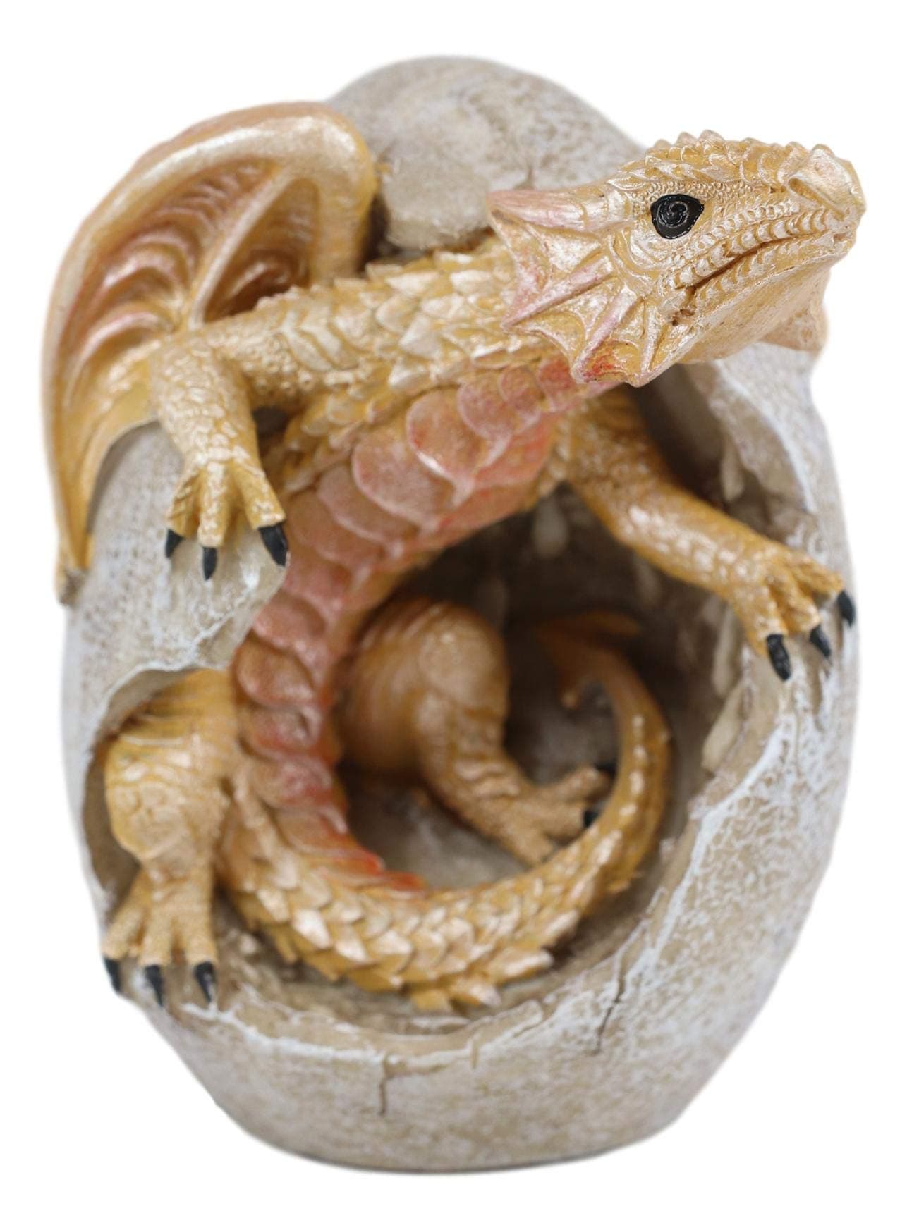 Ebros Gift Fossil Raeon Sunlight Dragon Wyrmling Hatchling Breaking Out Of Egg Shell Decorative Figurine 5"H Dungeons And Dragons Collectible Figurine Museum Like Eggs Decor Medieval (Yellow Sunbeam)