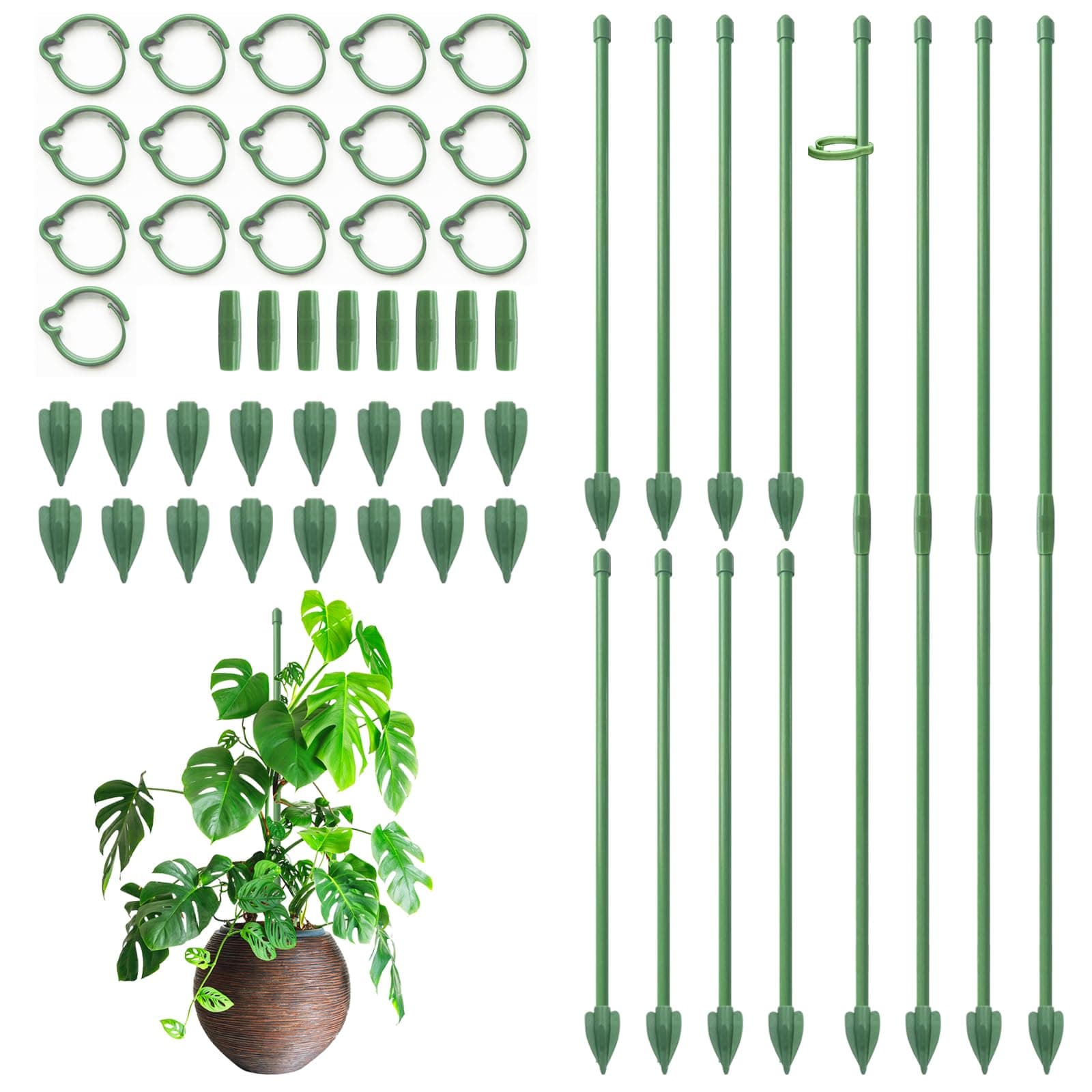RIFNY Plant Stakes for Indoor Plants, 12 Inch Plant Support Stakes, 16 PCS