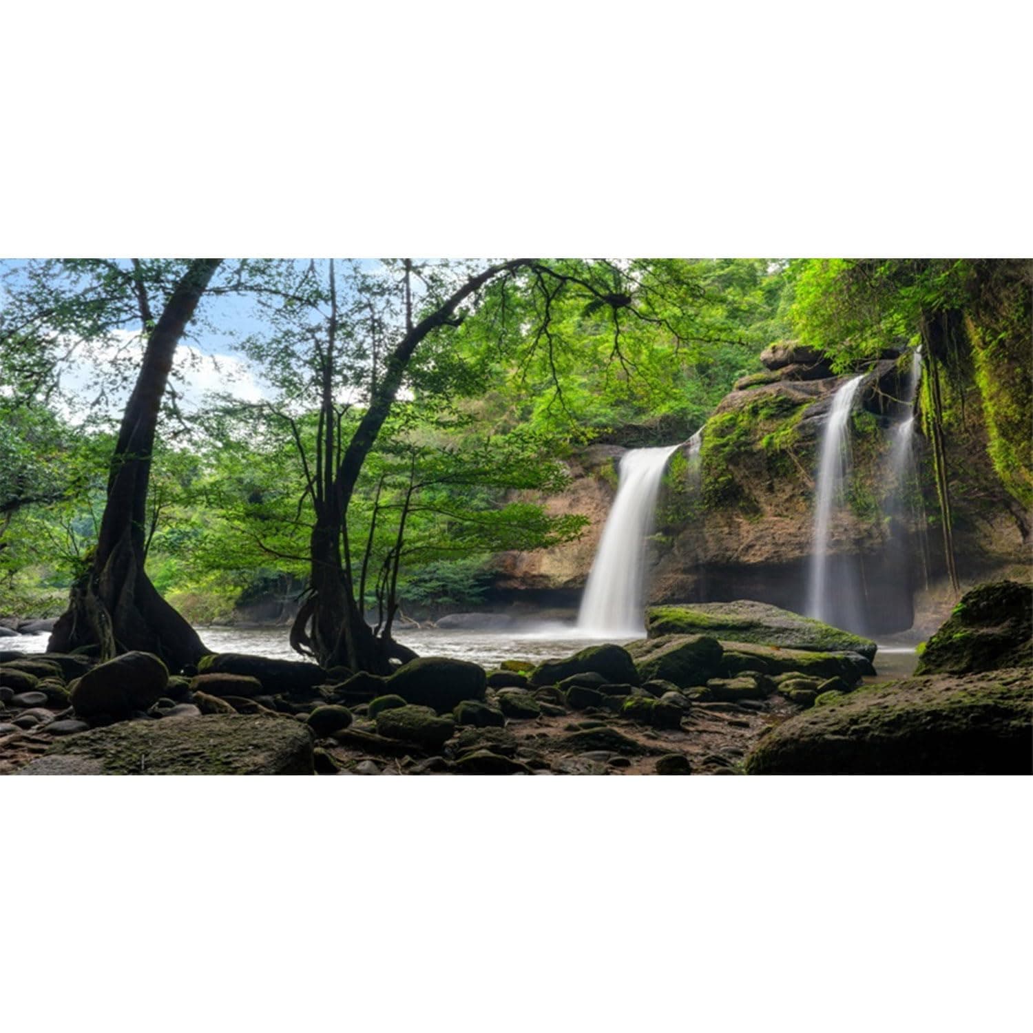 AWERT Waterfall Terrarium Background Tropical Rainforest Aquarium Background Lake Stone Rocky Reptile Habitat Background 24x12 inches Durable Polyester Background