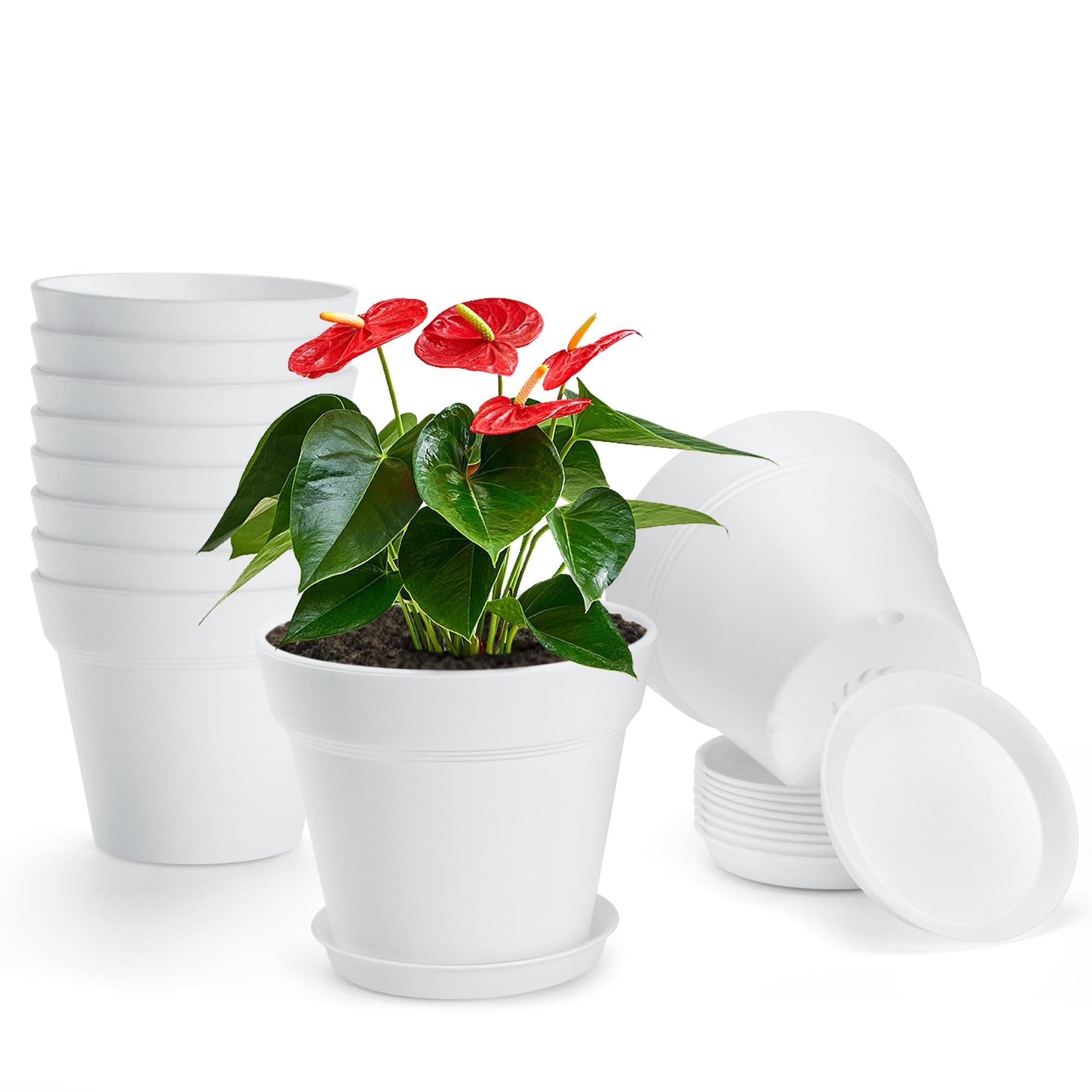 10Pack 5in Plastic Plant Pots with Drainage Holes and Tray Indoor Planters