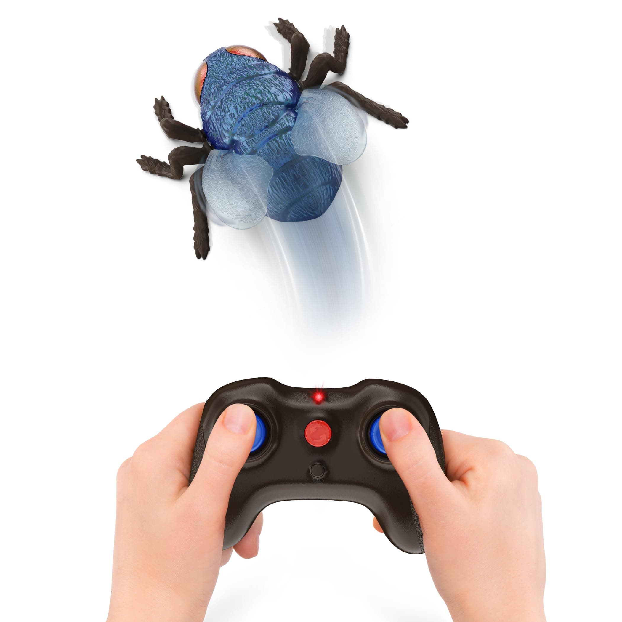 Terra by Battat - RC Fly: Blue Bottle Fly - Remote Control Insect - Climbing Wall Bug - 5 Years +