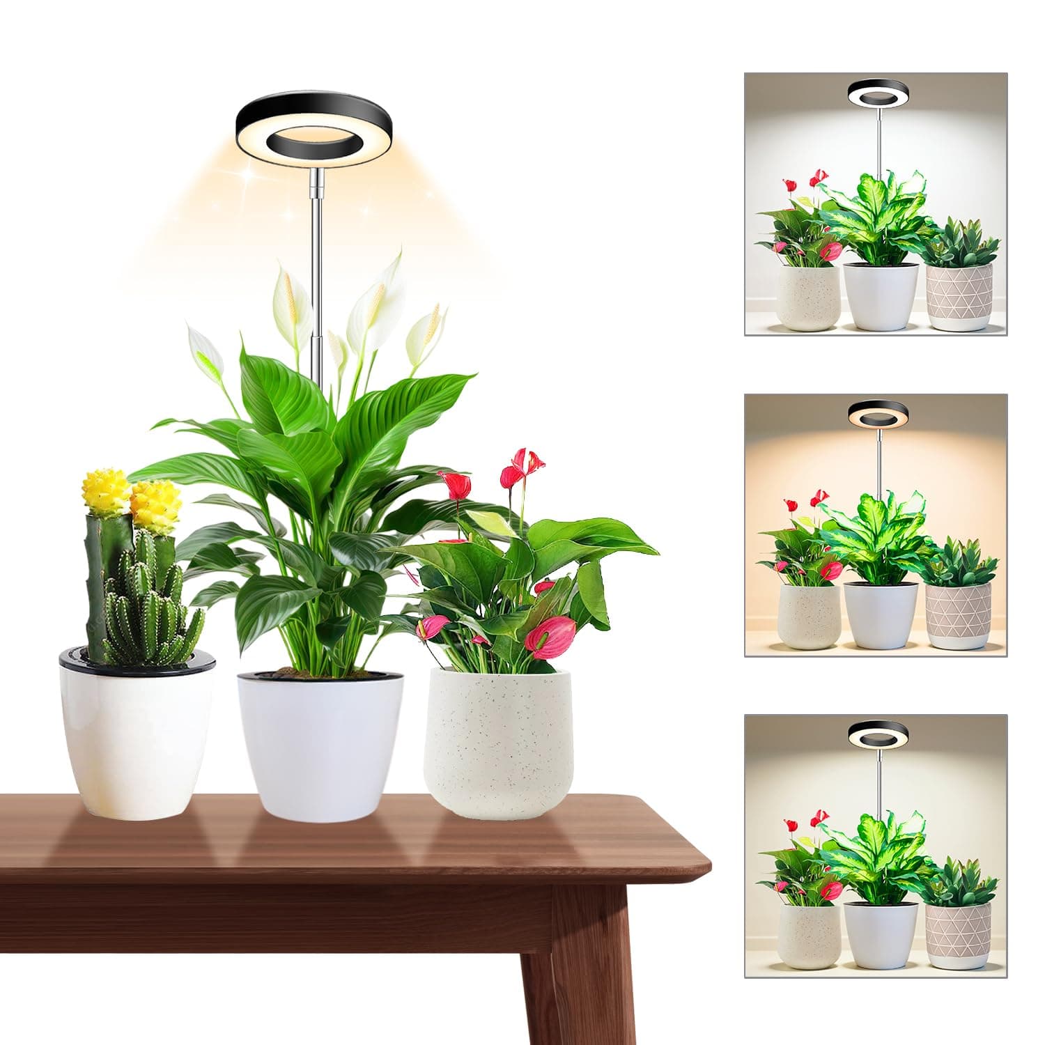 Wiaxulay 3.5in Grow Lights for Indoor Plants,Full Spectrum Halo Plant Light