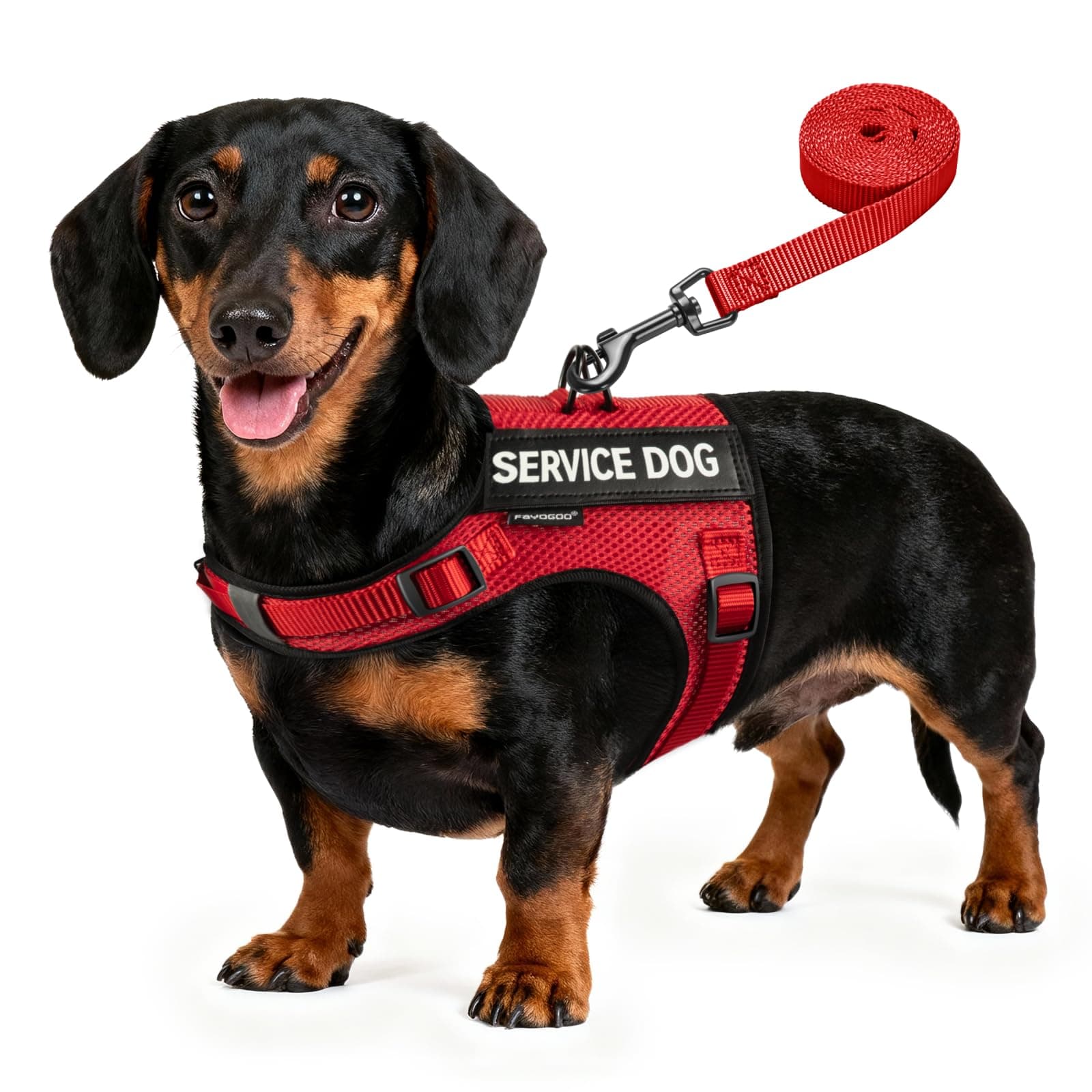 FAYOGOO Service Dog Vest Harness for Small and Medium Breed Dogs Cat Puppy Kitten No Pull with Removable Patches Harness and Leash Escape Proof