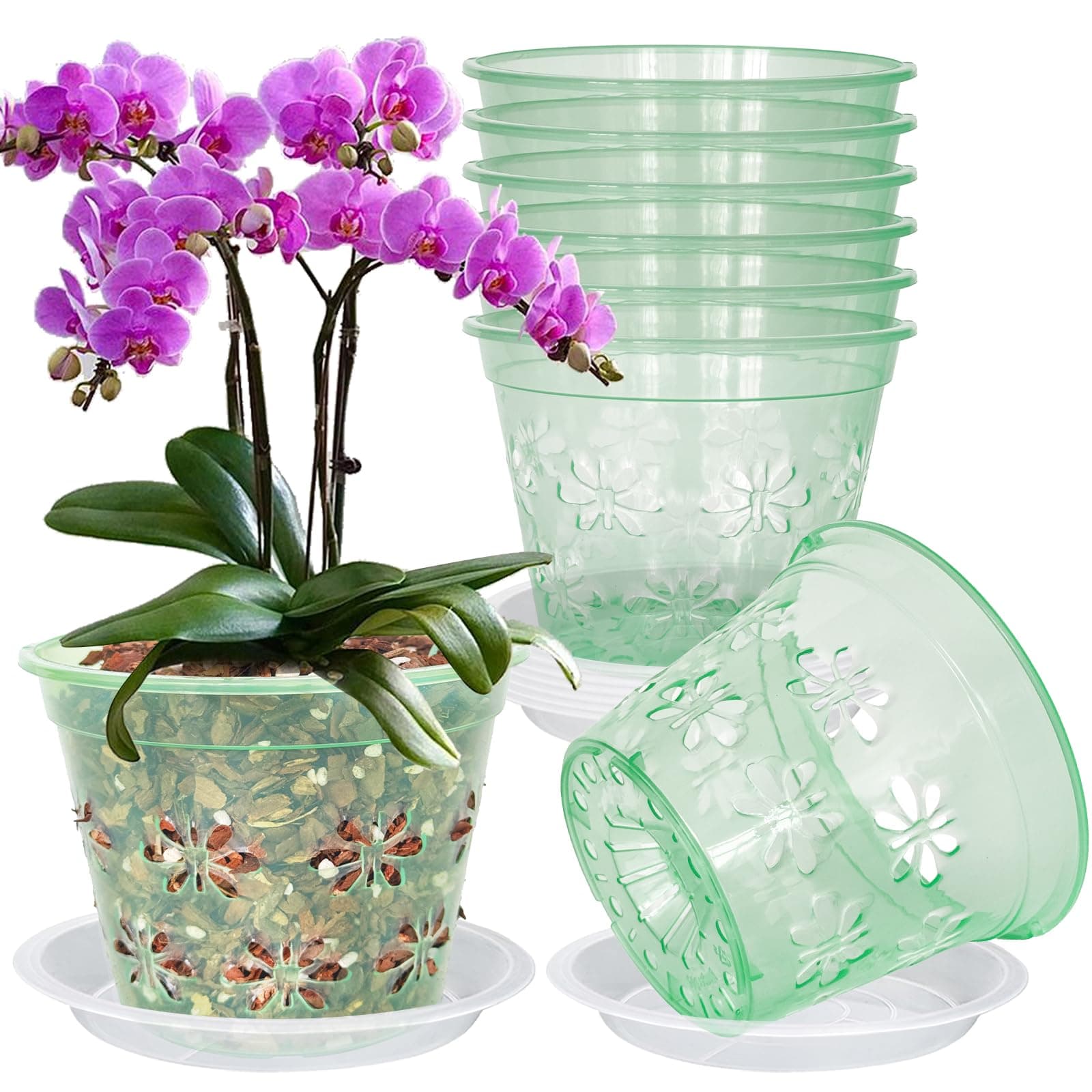 Blumiger Orchid Pot, 8 Pack Orchid Pots with Holes & Saucers, Clear Plastic Pot for Repotting, Breathable Ventilation Planters for Phalaenopsis, Dendrobium & Oncidium Orchids(7 inch, Green)
