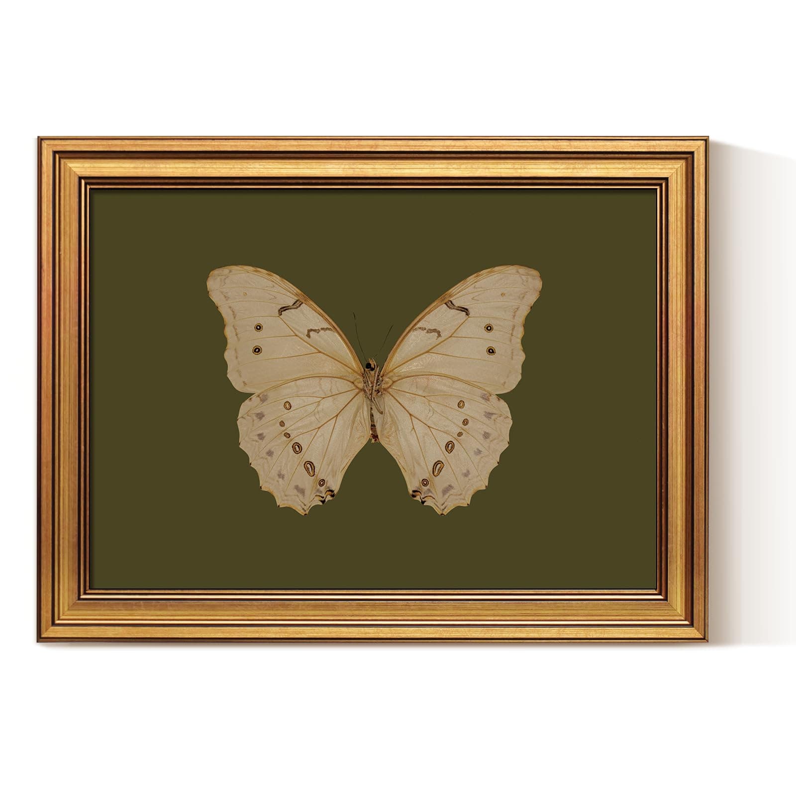 ARPEOTCY Retro Gold Framed Canvas Prints Wall Art, Vintage Bathroom Decor, Classical Moody White Butterfly Green Paintings Aesthetic Farmhouse Wall Decor for Bedroom Living Room Shelf, 30x40cm