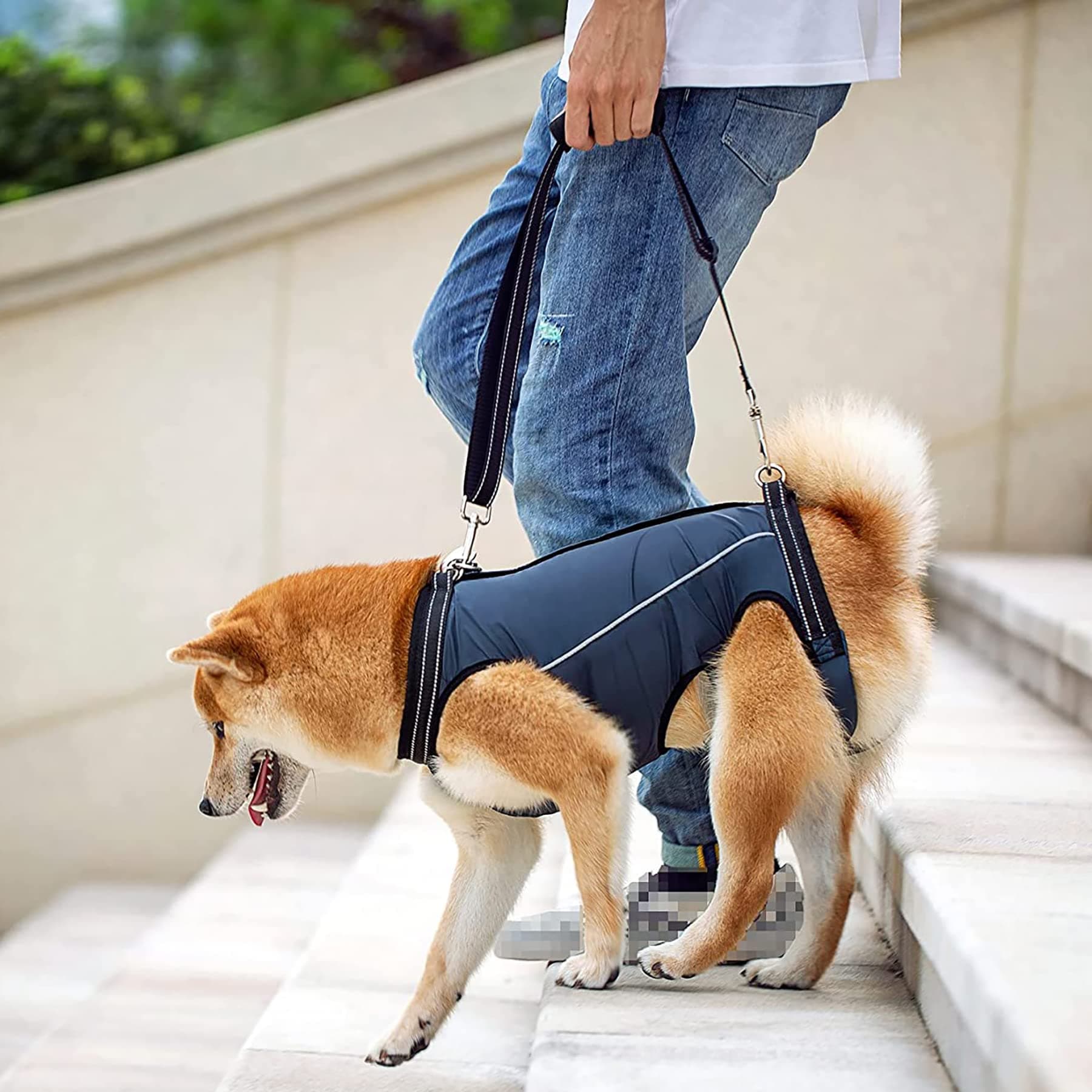Dog Lift Harness Full Body Support & Recovery Sling Dog Lifter Vest Harness for Old, Joint Injuries, Arthritis, Disabled Dogs Walk (Navy, Medium)