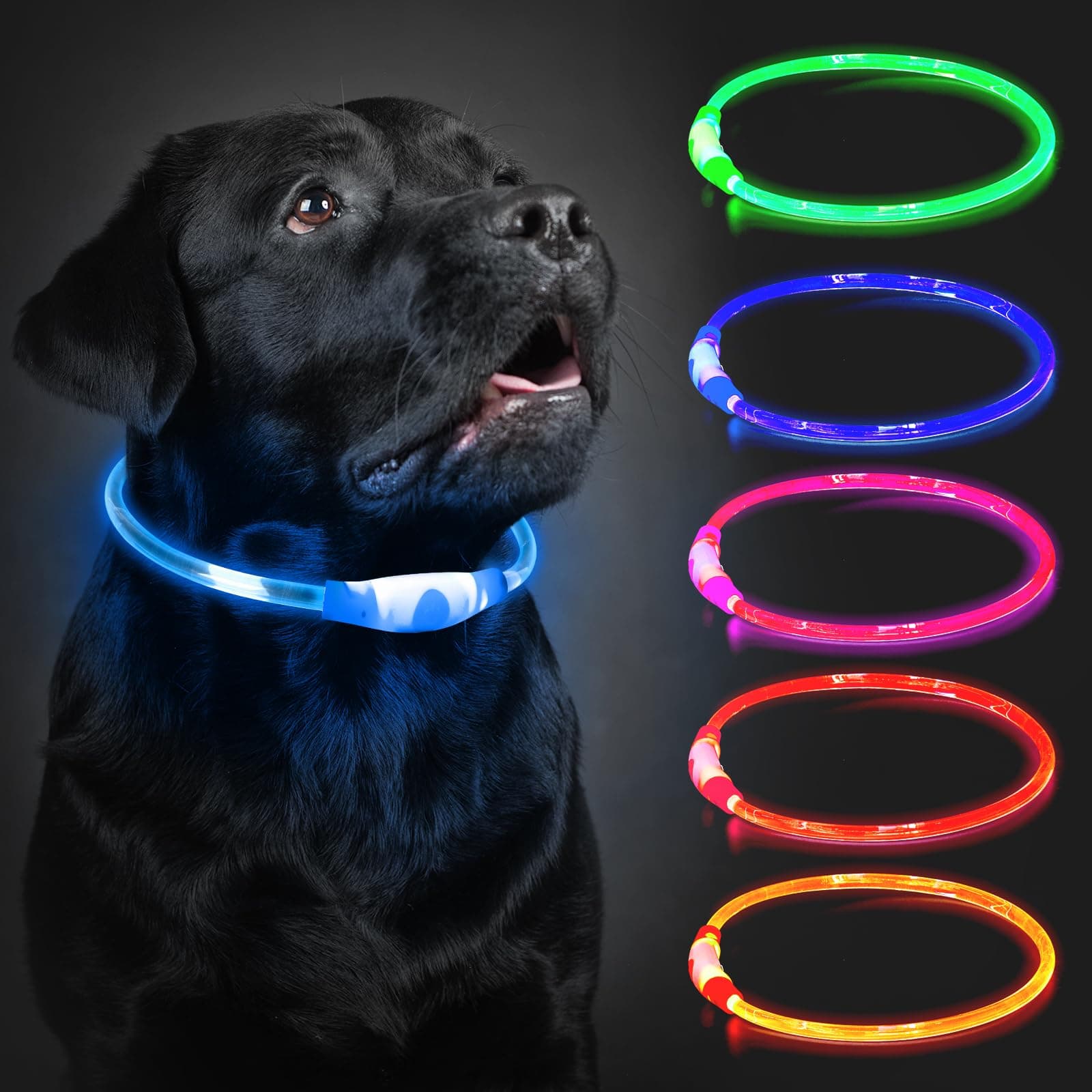 LED Light Up Dog Collar Rechargeable 3 Flash Mode Night Walking 70cm Blue