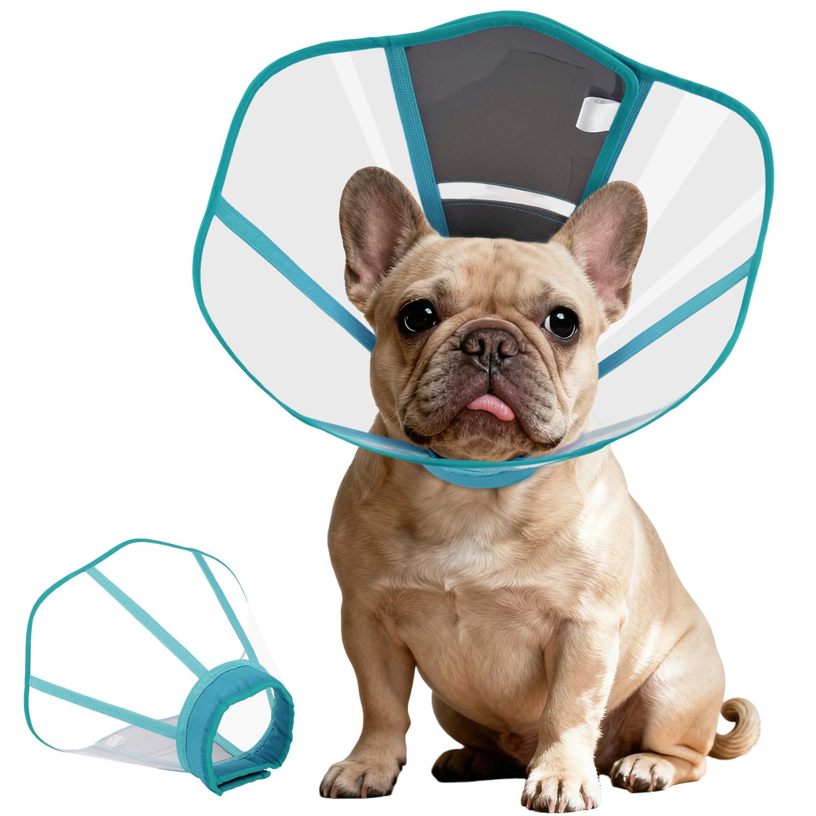 AuraPaw Elizabethan Collar for Dogs, Protective Cone for Surgical Recovery,Anti-Licking, Breathable Pet Recovery Collar – Soft Adjustable Shield for Wound Care, Spay, Neuter, Blue Green, Size M