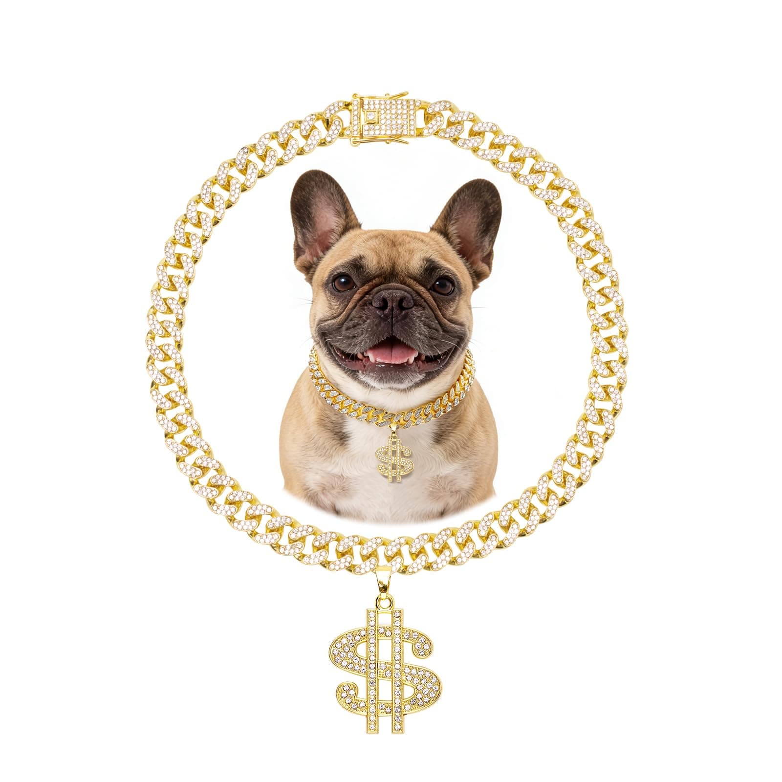Evoolyn Dog Collar Diamond Gold Plated Cuban Link Chain Glitter Necklace with Dollar Pendant Matching Pet Owner Styles Available Hip Hop Pet Accessories for Dog & Cat (Gold, 35cm)