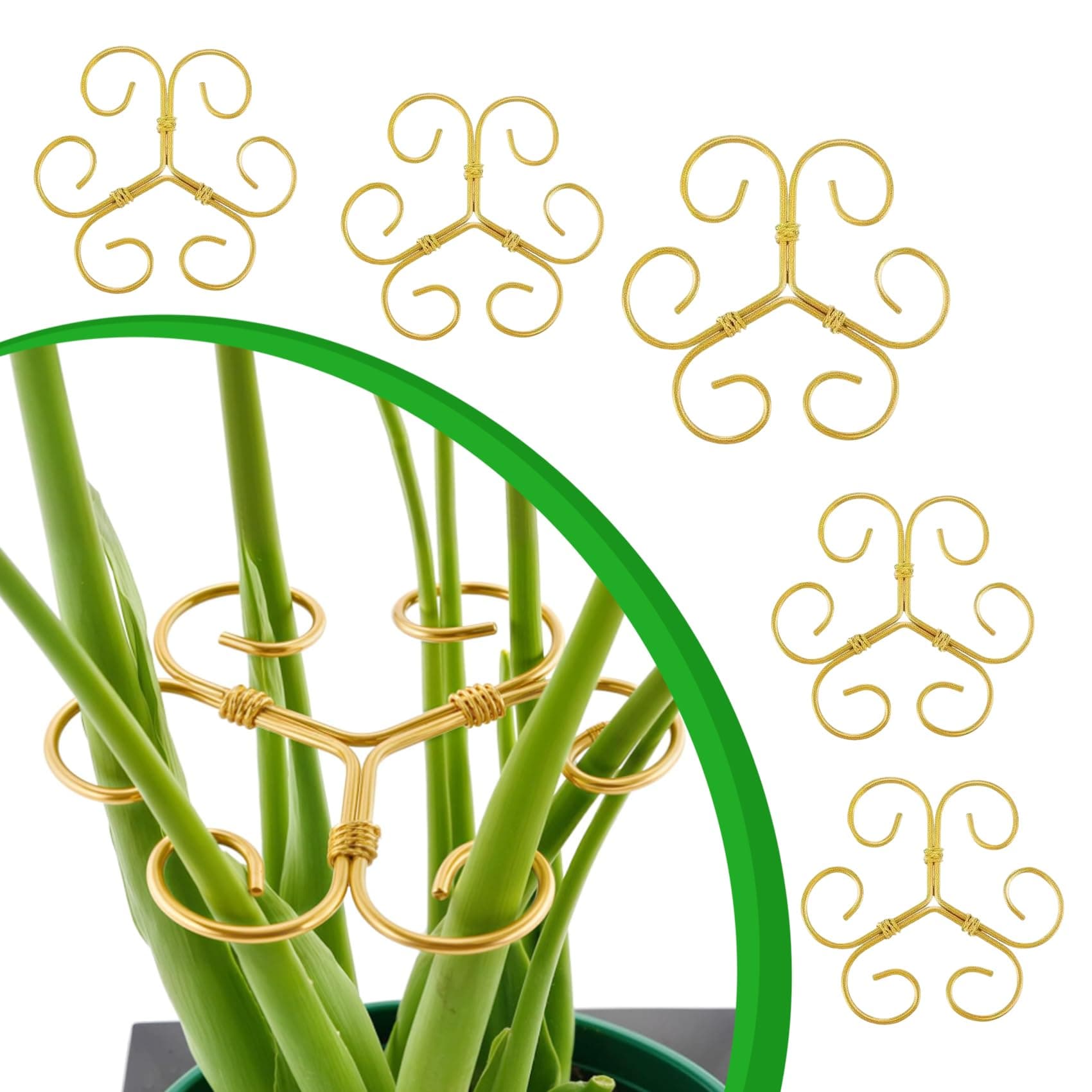 SwiftSculpt Plant Stem Supports, 5 Pack Iron Monstera Plant Support for Indoor Plants - Plant Stabilizer Stake Holder for Climbing Plants, Monstera Deliciosa, Pothos, Vine for Stable Growth