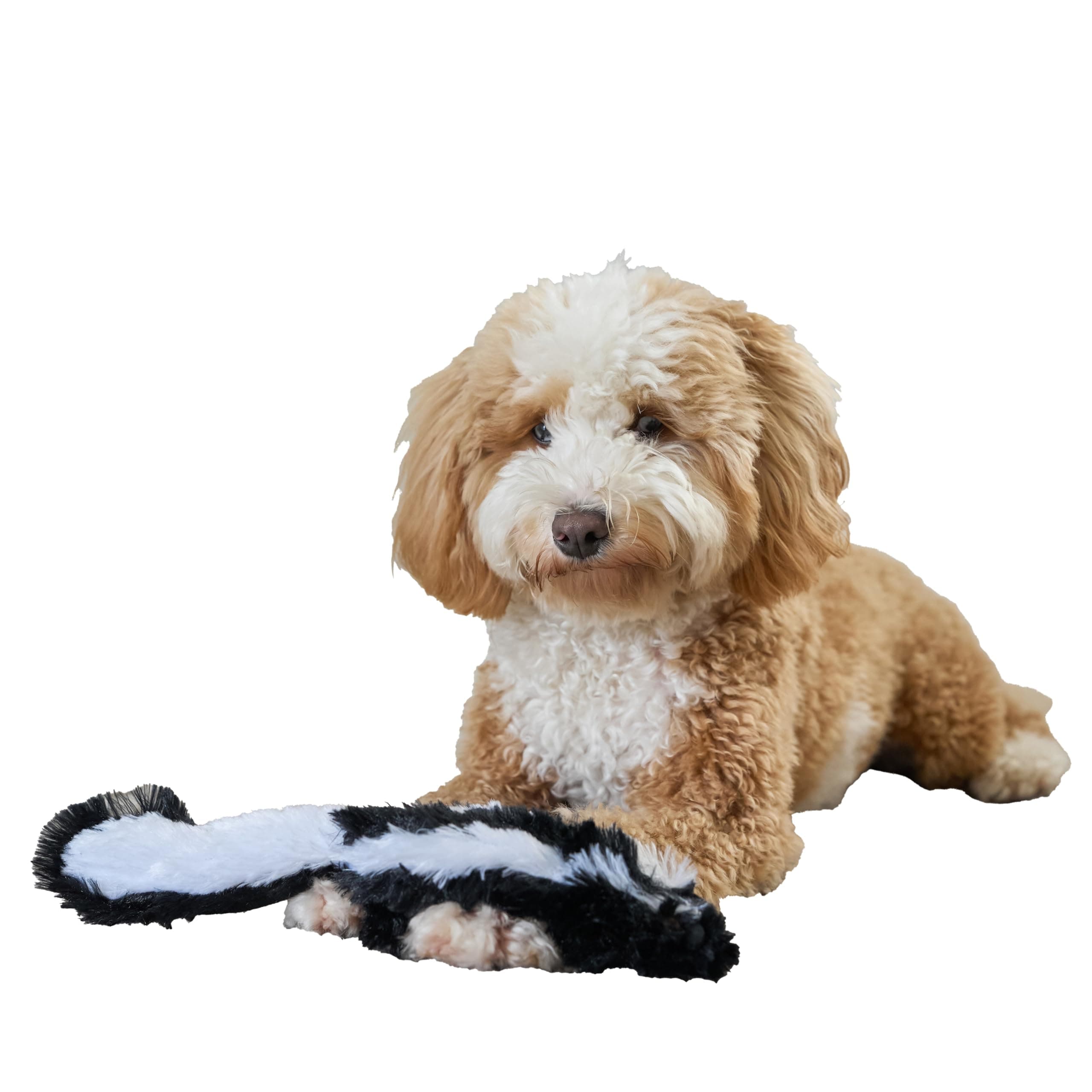Ethical Mini Skinneeez Skunk 14-Inch Stuffingless Dog Toy
