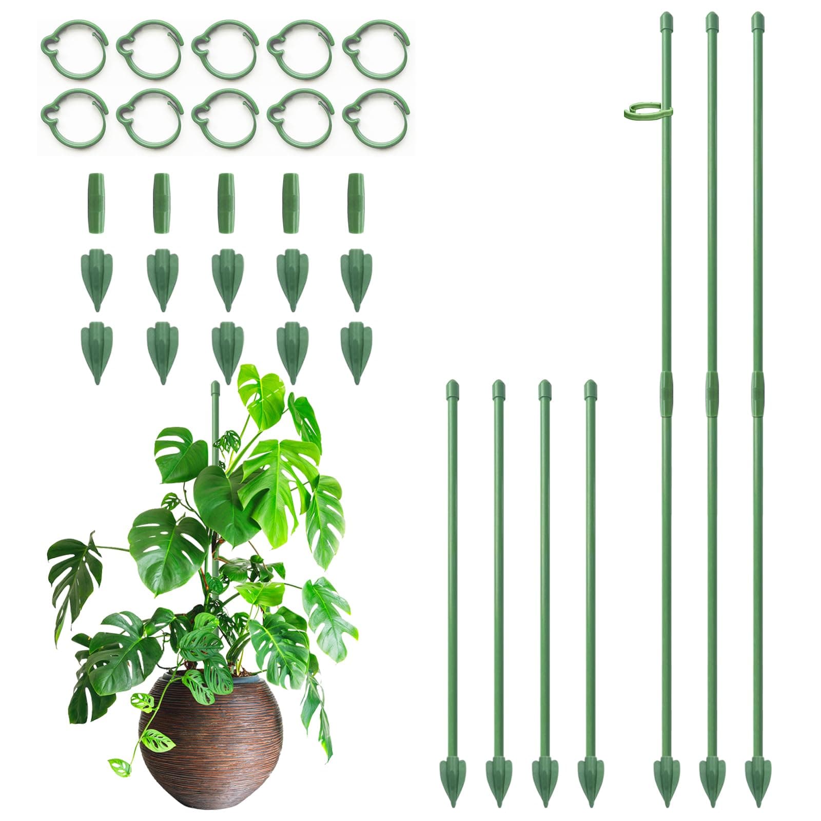 RIFNY Plant Stakes for Indoor Plants, 12 Inch Plant Support Stakes, 10 PCS
