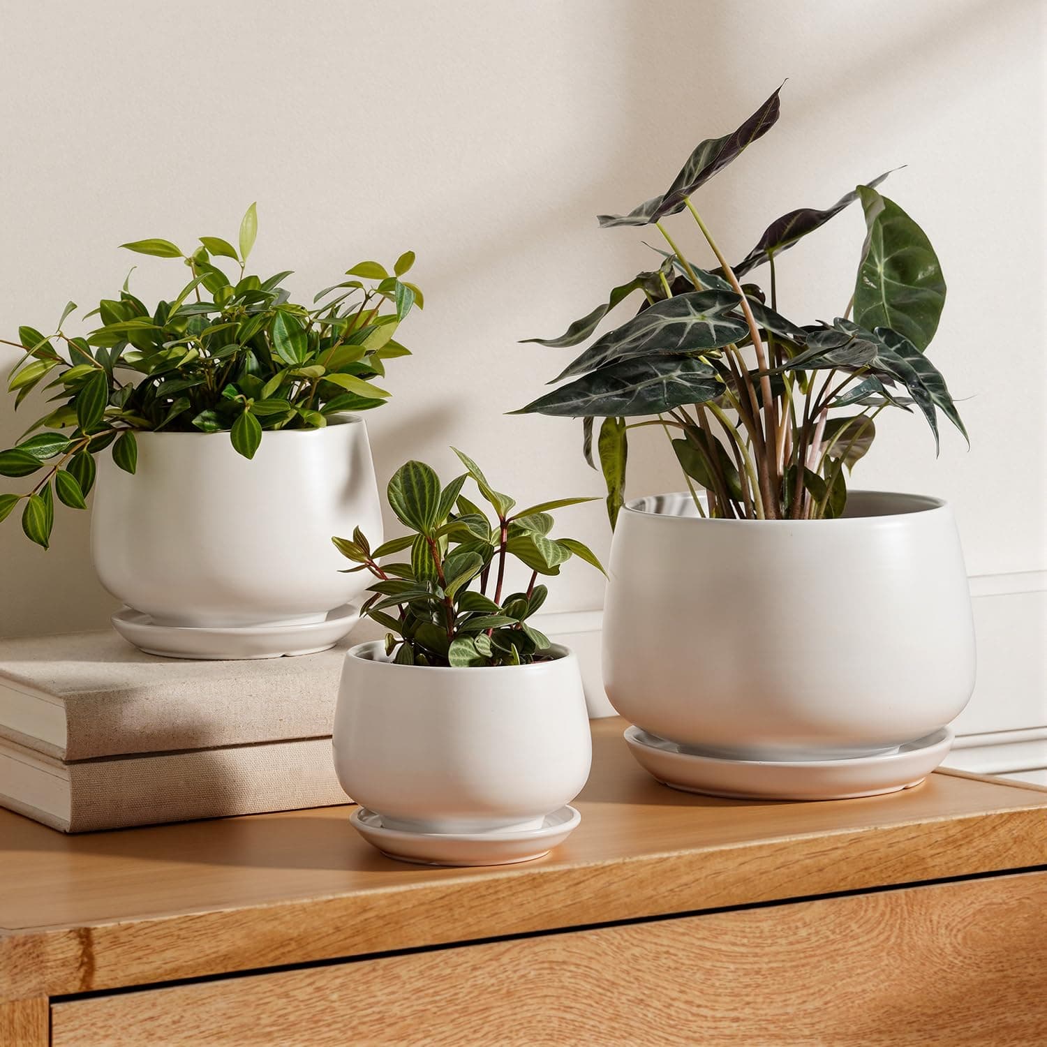 LE TAUCI Plant Pots, Set of 3, 4+5+6.5 Inch Ceramic Pots for Plants Indoor with Drainage Hole & Integrated Saucer, Flower Pot Plante Interieur, White