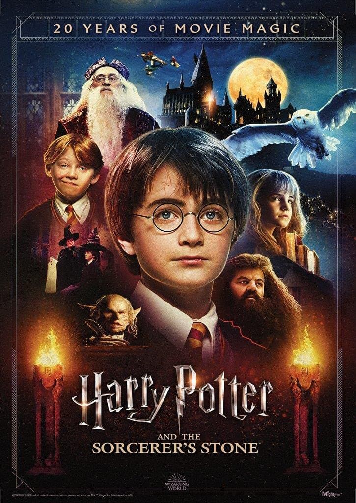 MIGHTYPRINT Harry Potter and the Sorcerer's Stone 20th Anniversary – Durable 17” x 24 Wall Art – NOT Made of Paper – Officially Licensed Collectible MP17240699