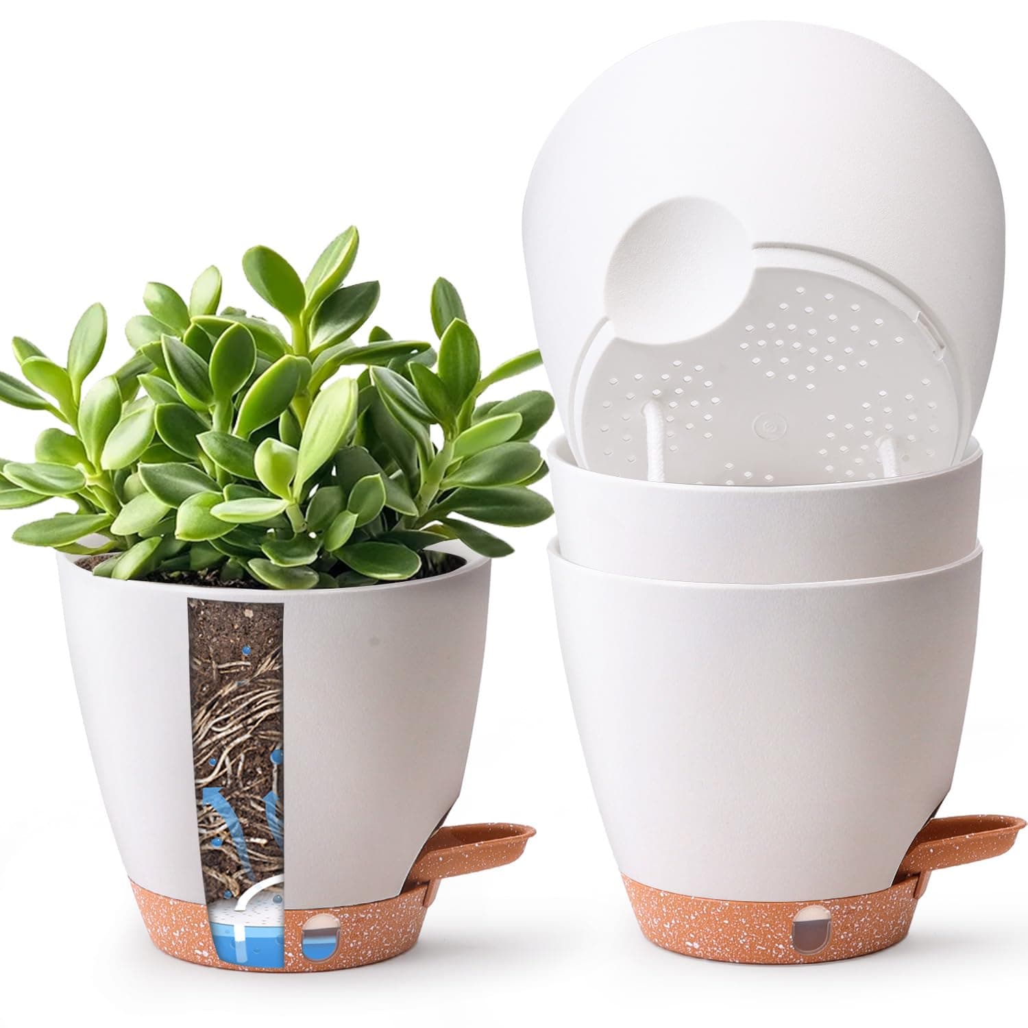 T4U Self Watering Pots 6 Inch 4 Pack Plastic Planters for Indoor