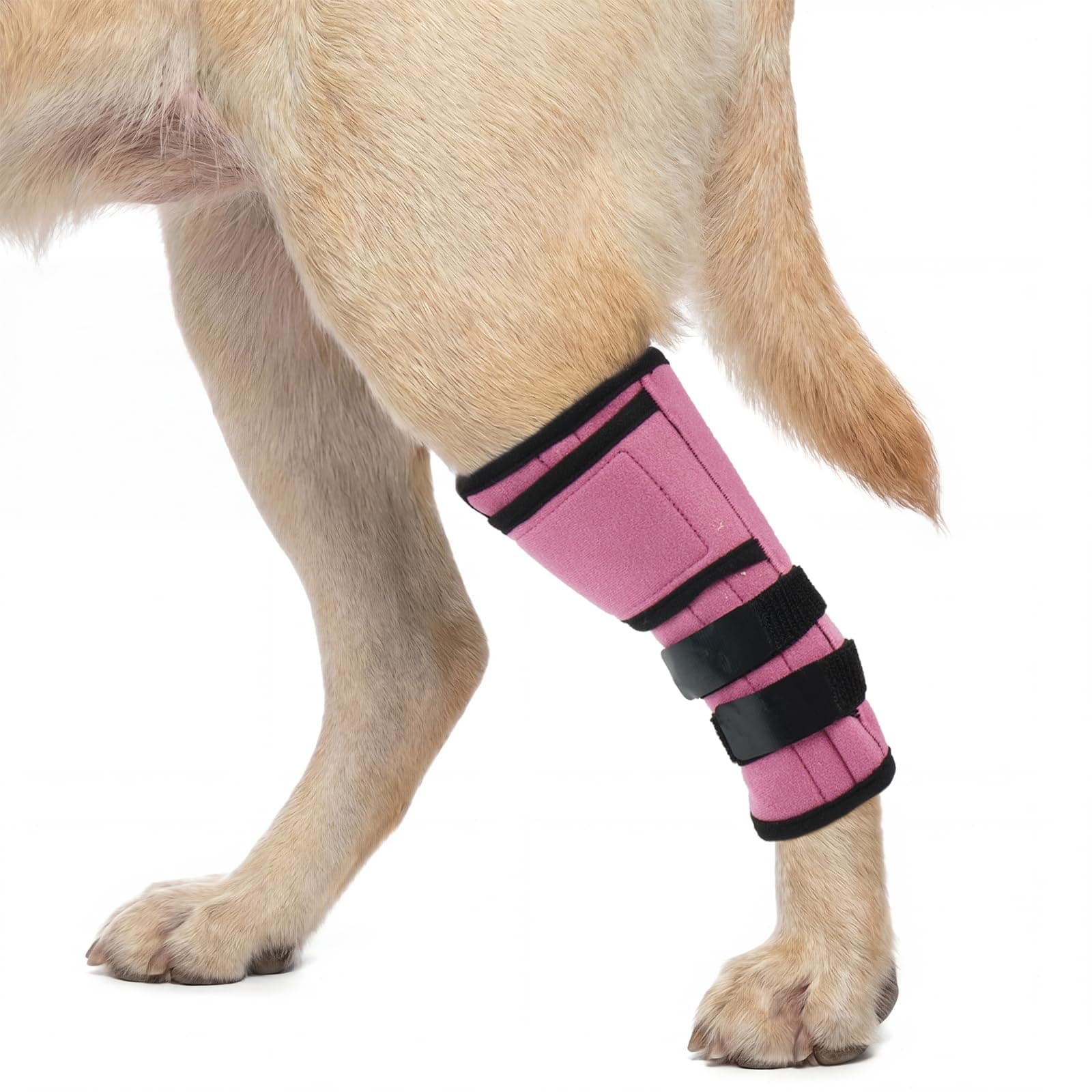 Dog Leg Brace for Back & Front Legs, Compression Dog Knee Support Sleeve