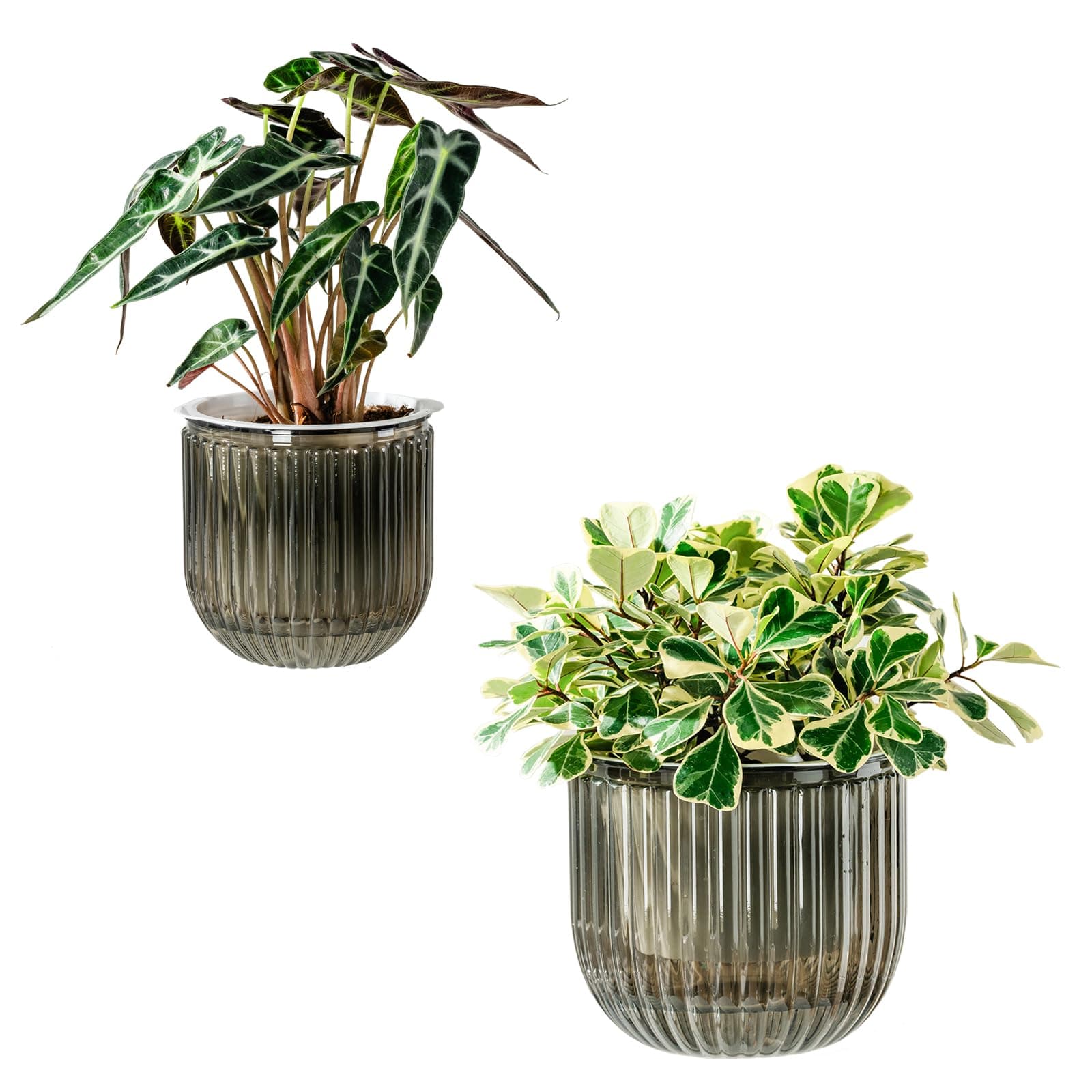 Self Watering Plant Pots for Indoor Flower Pots, 8.3/5.3 Inch 2 Pack Planters Plant Pots Indoor with Drainage for Houseplants, Succulent, African Violets and Cactus