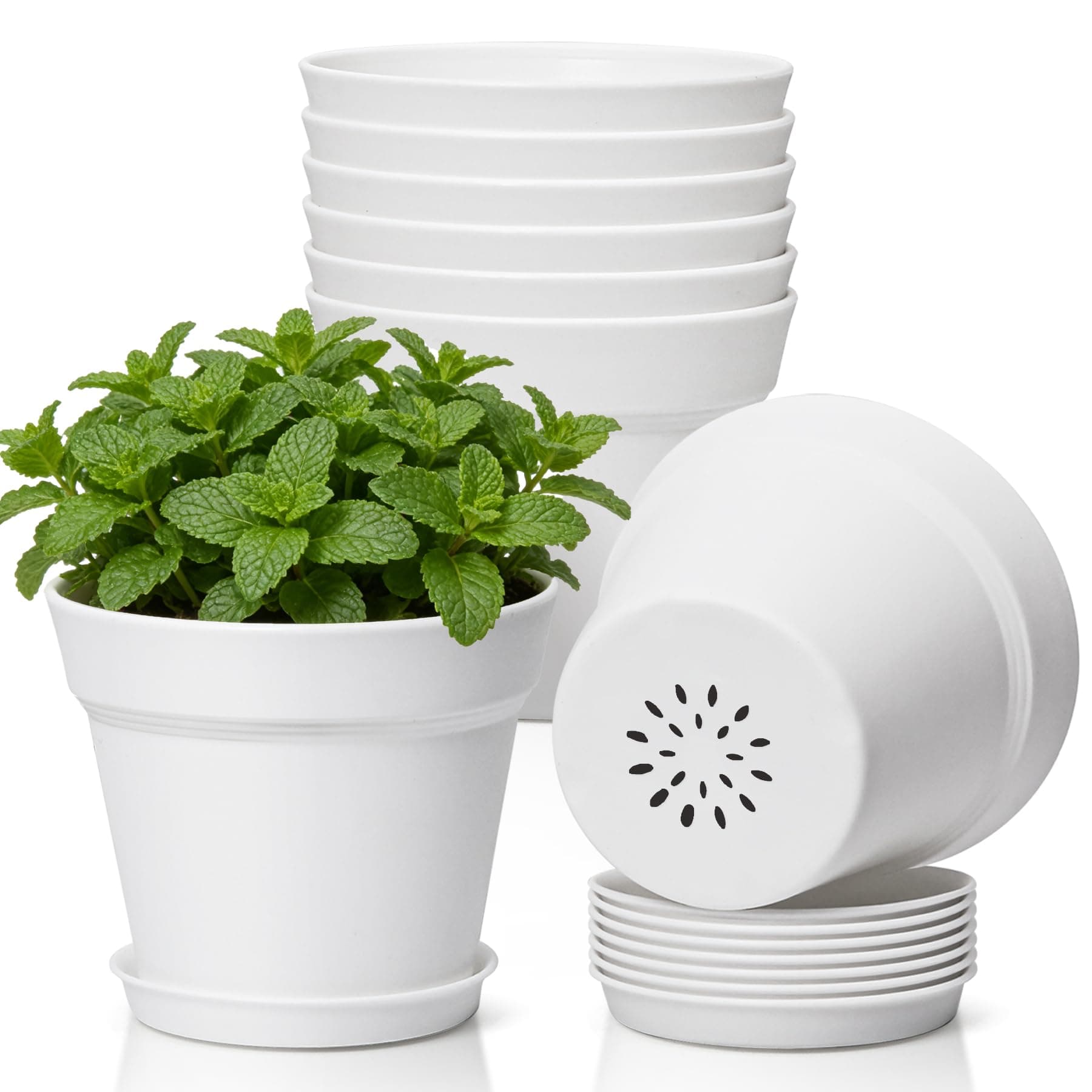 T4U Plant Pots 5 Inch 8 Pack with Drainage Plastic Flower Pots White