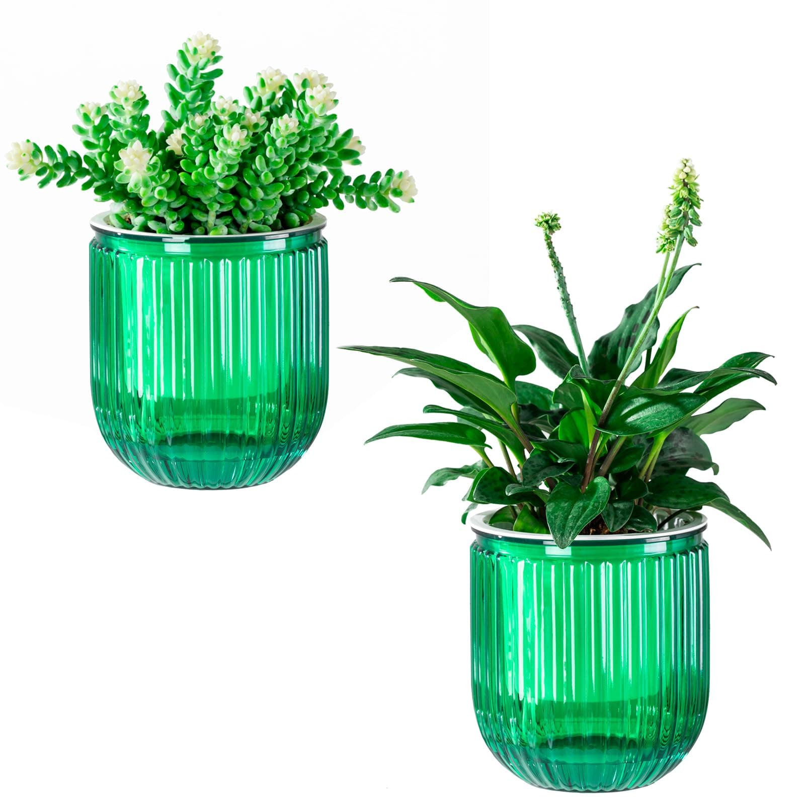 Self Watering Plant Pots for Indoor Flower Pots, 4.7 Inch 2 Pack Planters Plant Pots Indoor with Drainage for Houseplants, Succulent, African Violets and Cactus