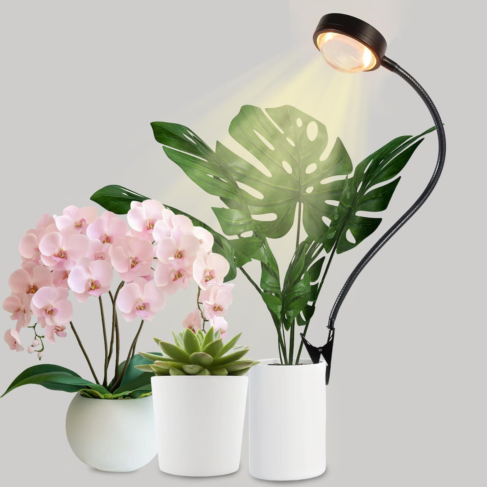 FECOLGT Grow Light for Indoor Plants, Full Spectrum Clip on Plant Lamp with Convex Lens and Timer 6/12/18H, Flexible Gooseneck LED Grow Light, Desk Clip Lighting