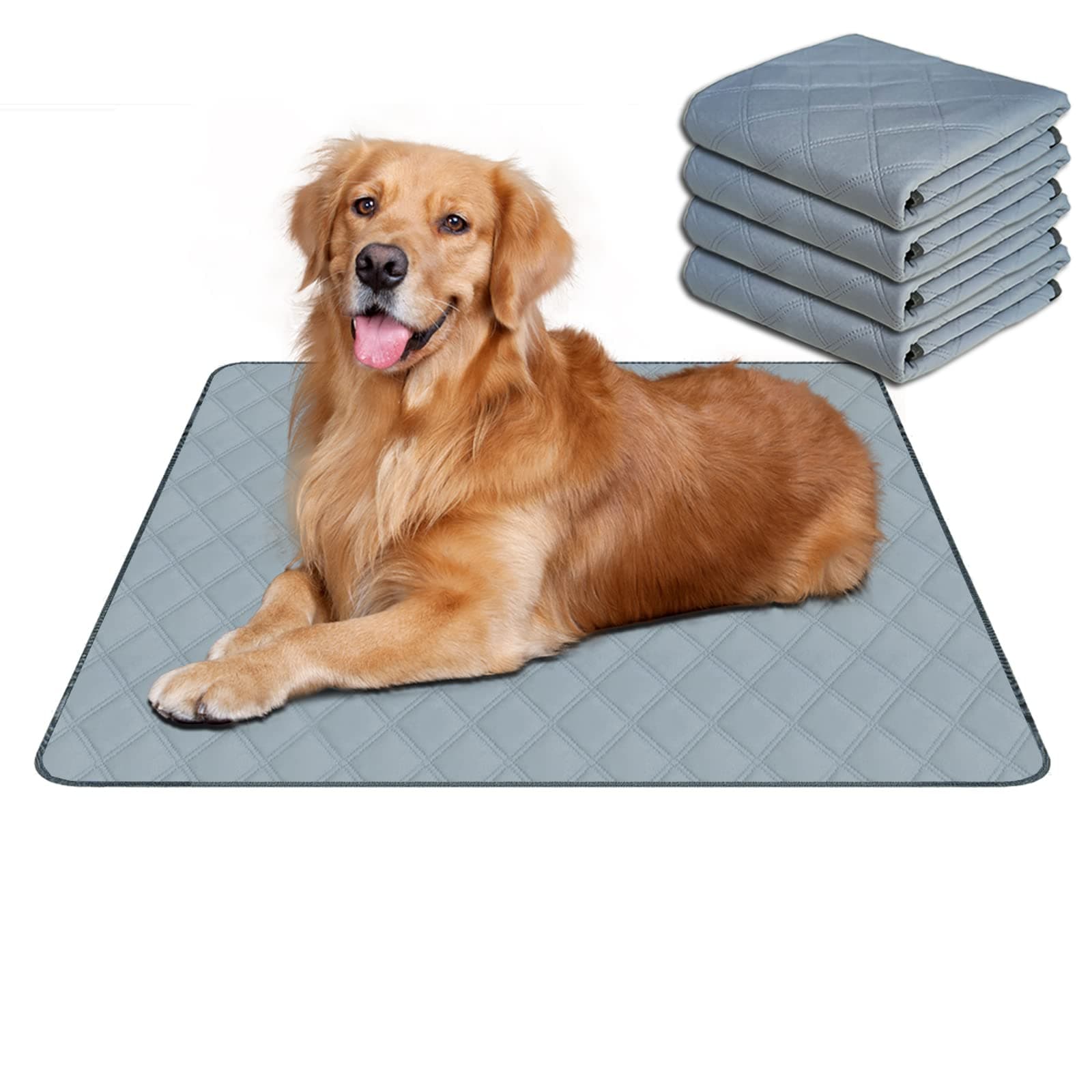 RIOUSSI Reusable Pee Pads for Dogs, Puppies. Washable, Absorbent, Leakproof
