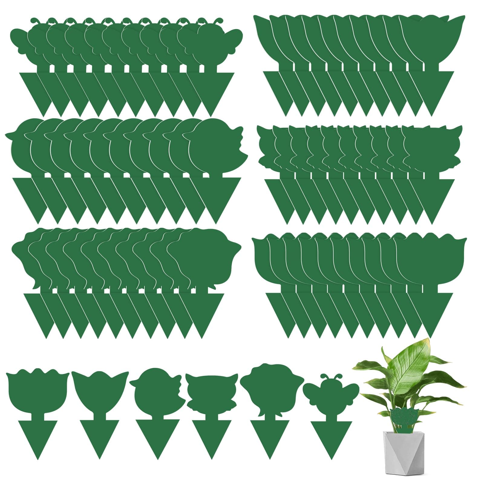 Fruit Fly Traps, WD&CD 60 Pack Sticky Fly Traps Green, Plant Fly Stickers, Sticky Bug Traps for Indoor and Outdoor
