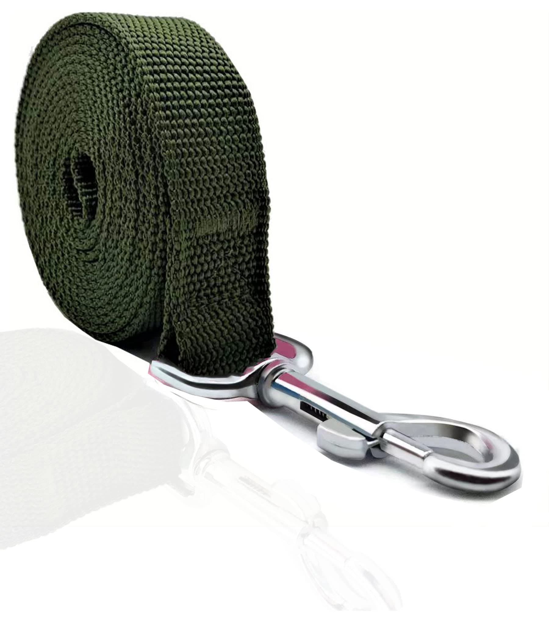 TAIAN 4FT/5FT/6FT Strong Dog Leash, Nylon Dog Leashes for Small Medium Large Dogs (Green, 1 in x 10 ft)