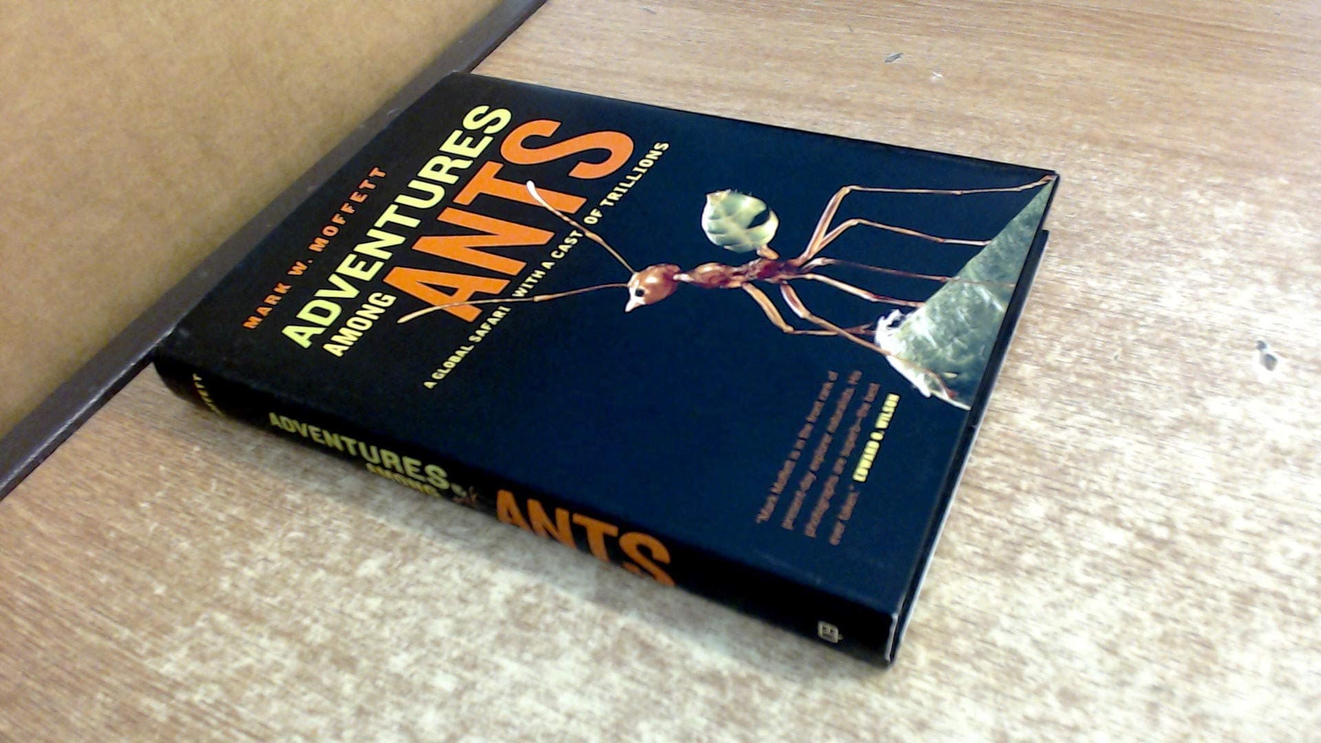 Adventures among Ants: A Global Safari with a Cast of Trillions