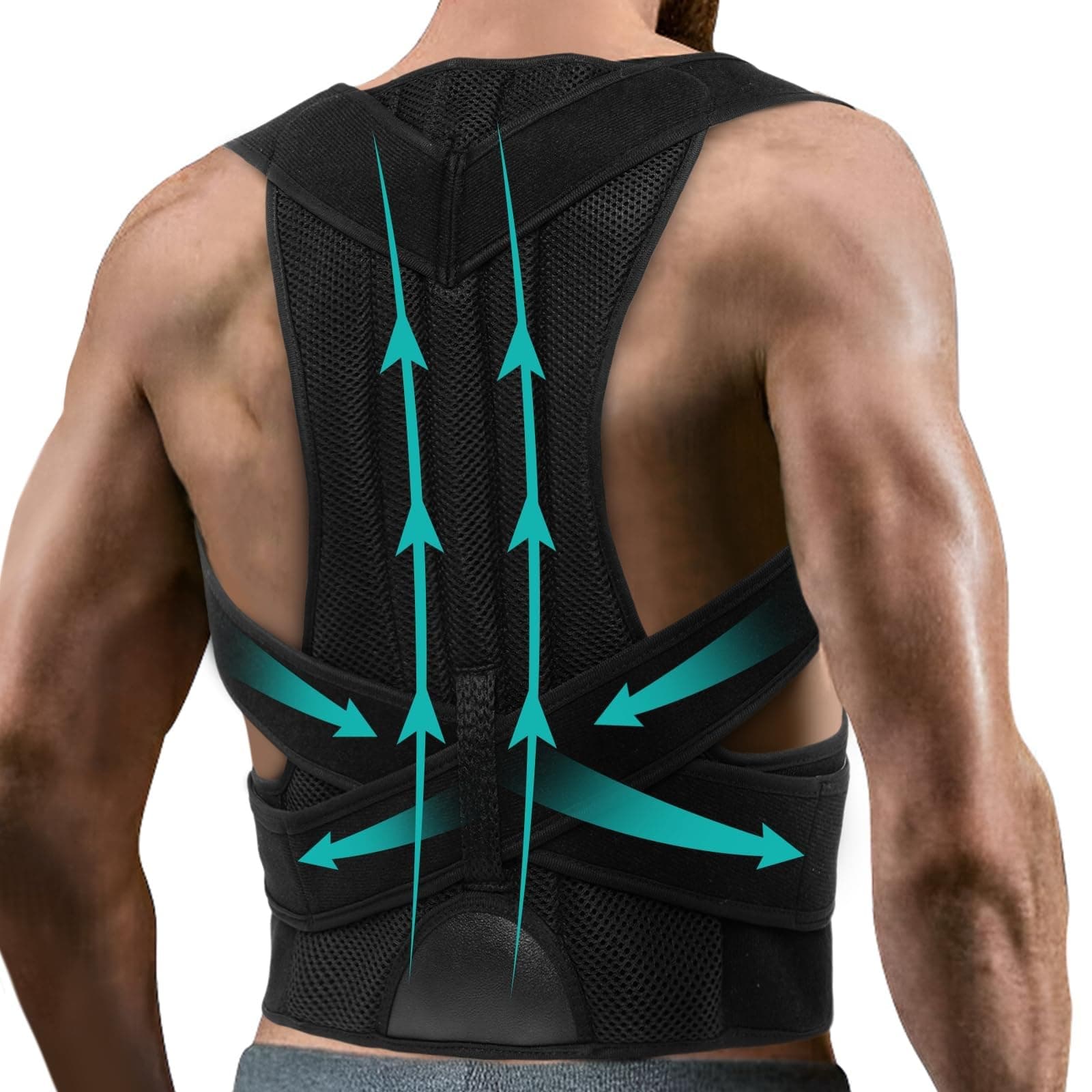 Adjustable Scoliosis Posture Corrector Breathable Full Back Support Brace Women Men Back Straightener for Hunchback Correction, Lumbar Support Shoulder Neck Posture Support(X-Large)