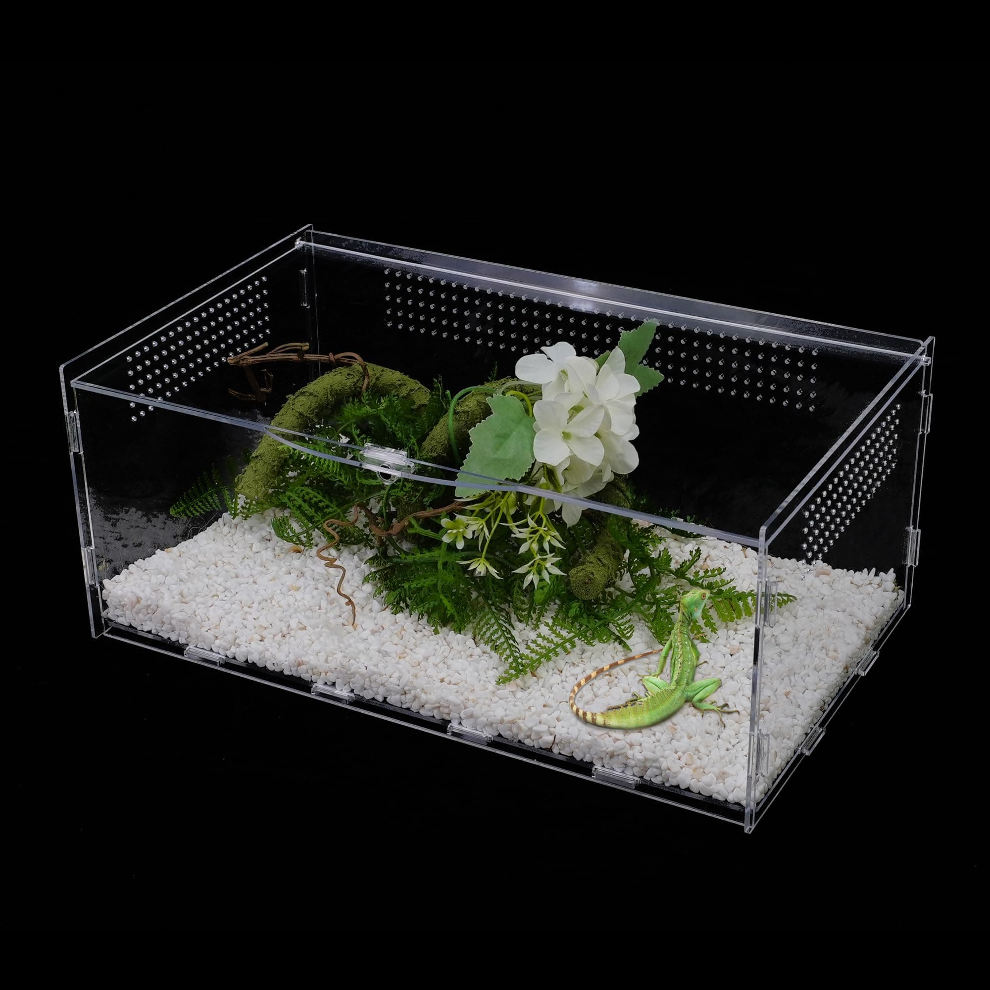hahalife Reptile Terrarium, Tarantula Enclosure, 14x8x6 Inch Reptile Tank Habitat Clear Terrariums with Locking Latch Suitable for Tarantula,Tree Dwelling Reptiles Hermit Crab
