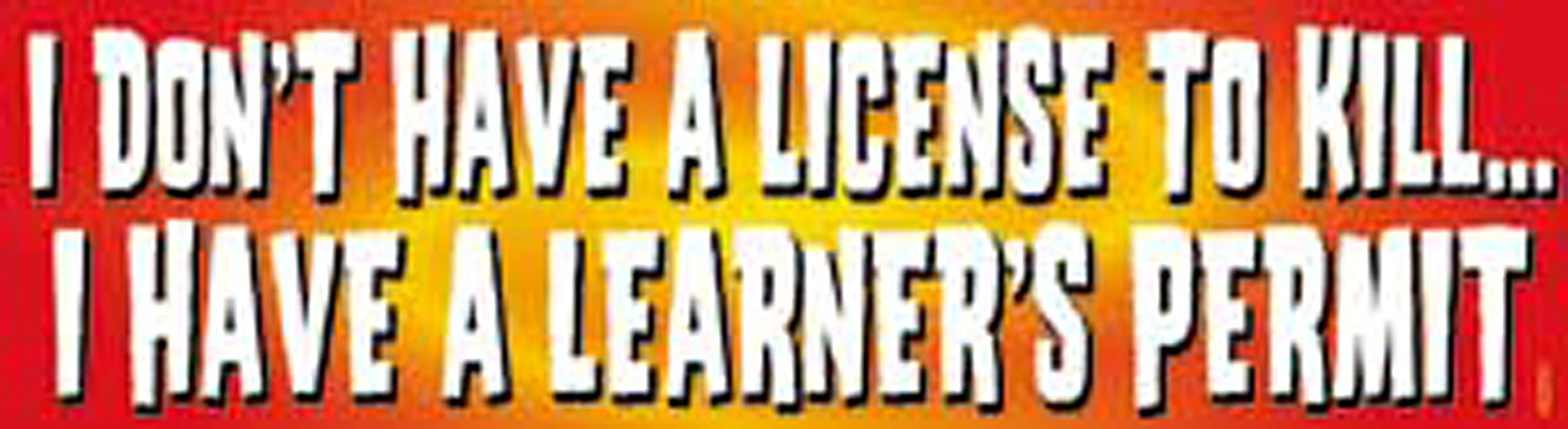 C&D Visionary S-7099 Sayings & Statements Learner's Permit Sticker