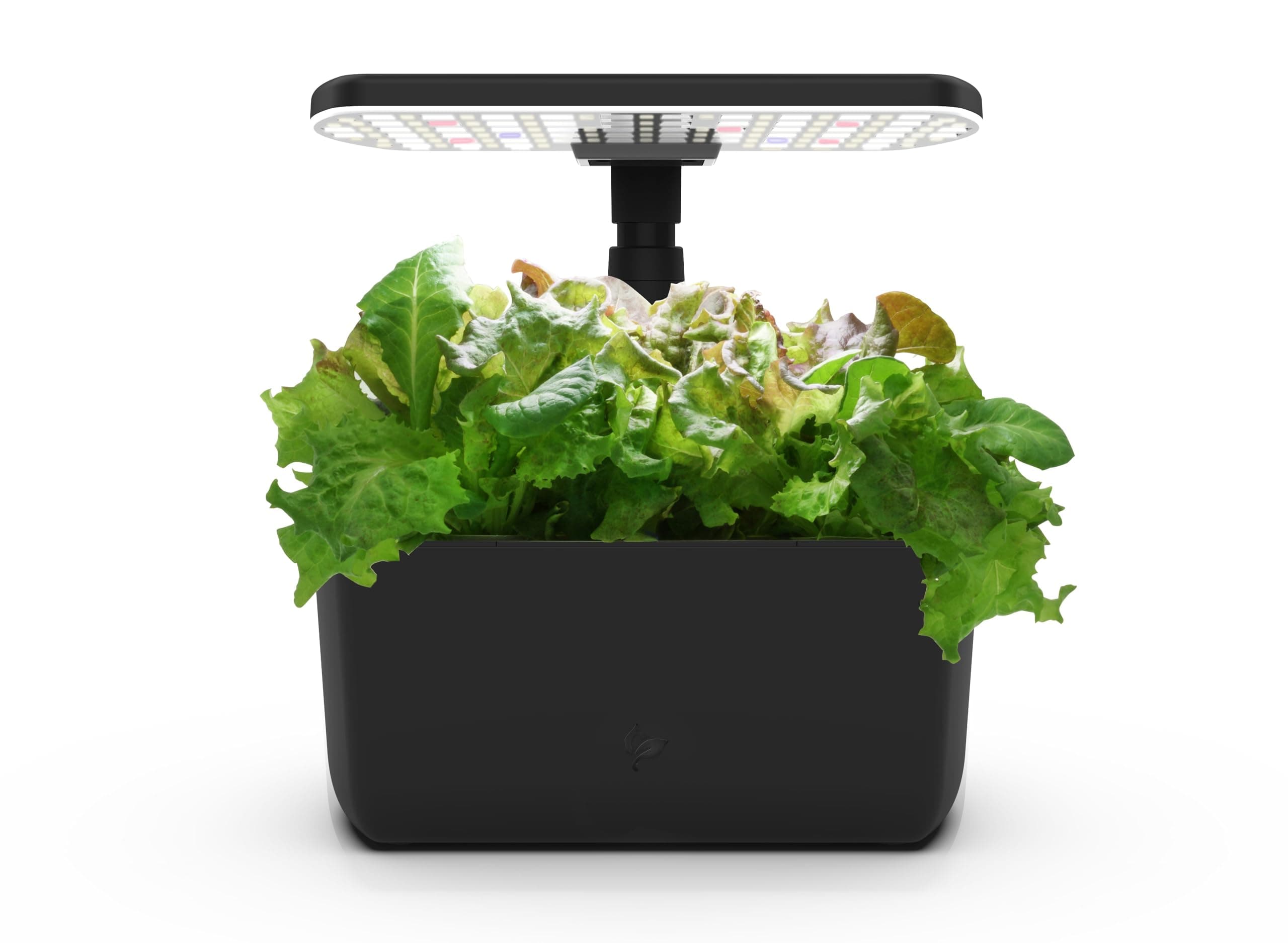 AeroGarden Harvest Lite, Black