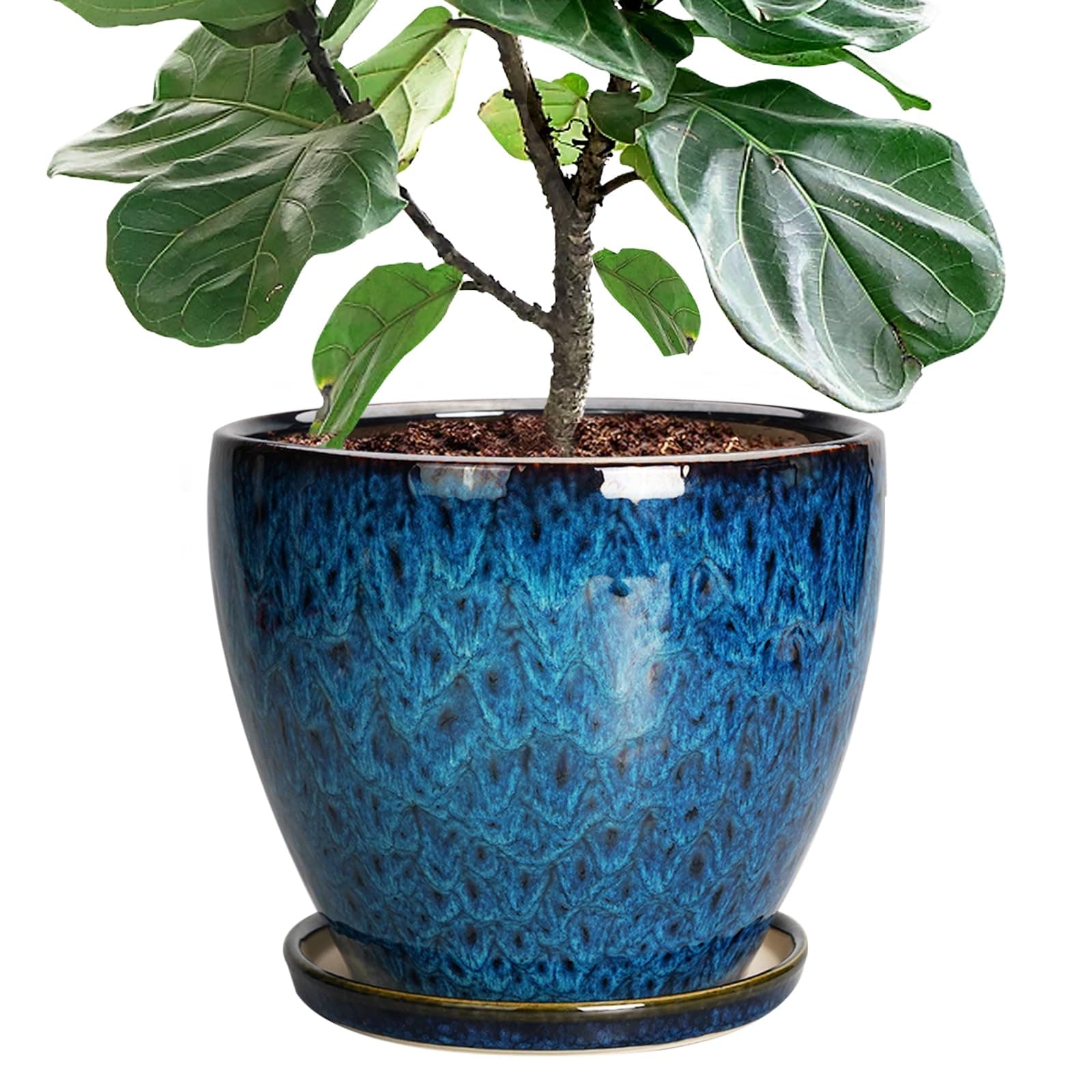 EPFamily 10 Inch Ceramic Planter Pot Round Plant Pot for Indoor Plants Outdoor Large Flower Pot with Drainage Hole and Saucer Blue