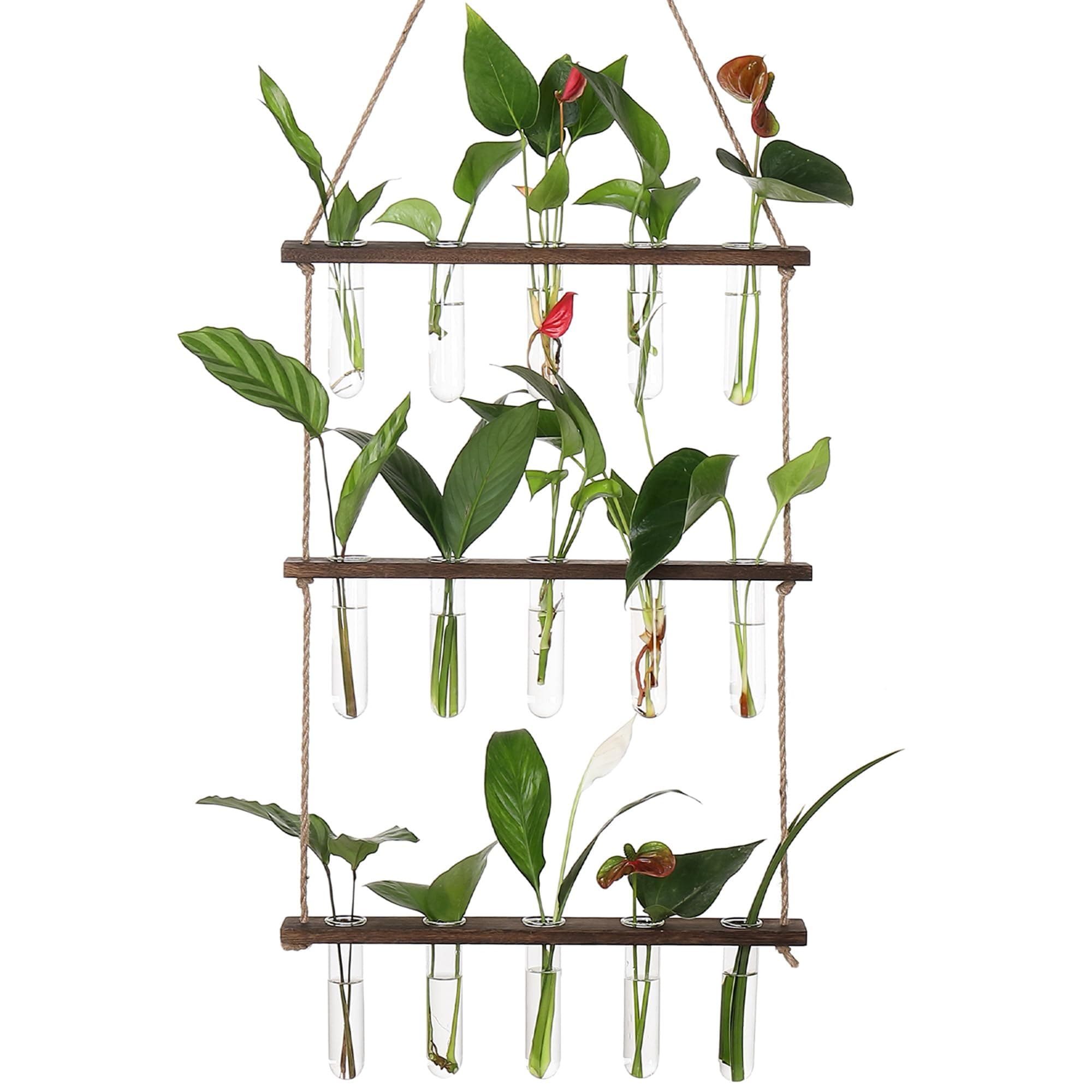 YIBOT Wall Hanging Planter Terrarium with Wooden Stand,Plant Propagation Station,Indoor Hanging Test Tube Vase,for Hydroponic Plants Cutting Home Office Garden Decor(3 Tiered/16 Test Tubes)(Brown)