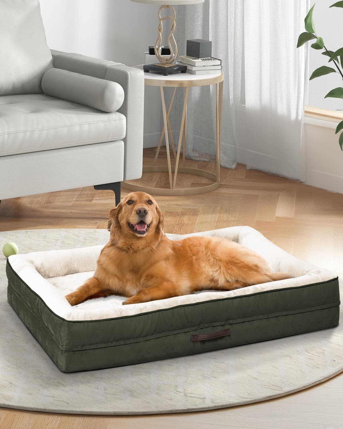 Orthopedic XXL Dog Bed for Giant Dogs, Non-Slip Bottom with Washable Cover